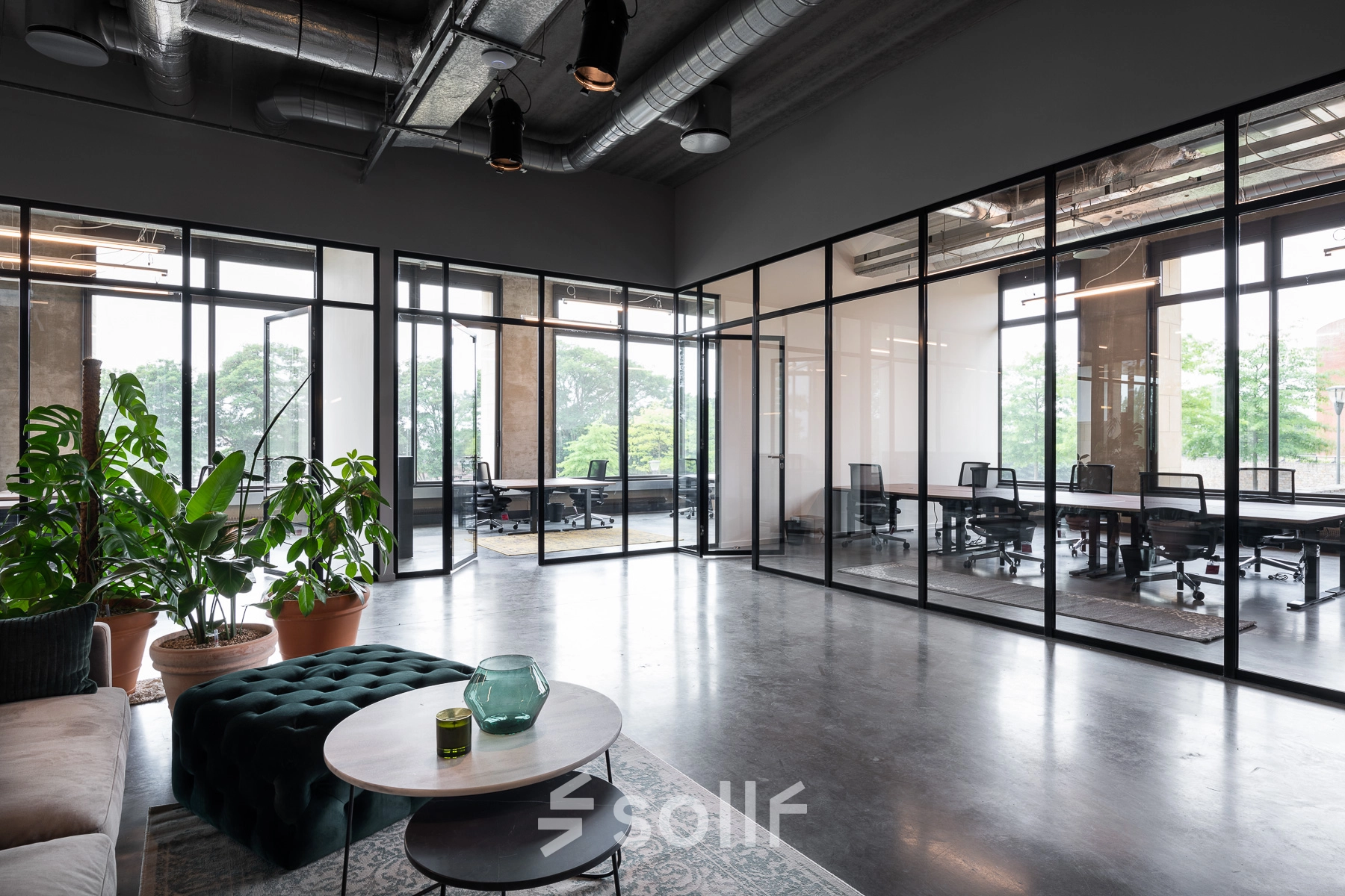 Moderne kantoorruimte te huur op Philipssite 5 in Leuven, met glazen wanden, planten en comfortabele meubels. Ideaal voor bedrijven die kantoorruimte willen huren.