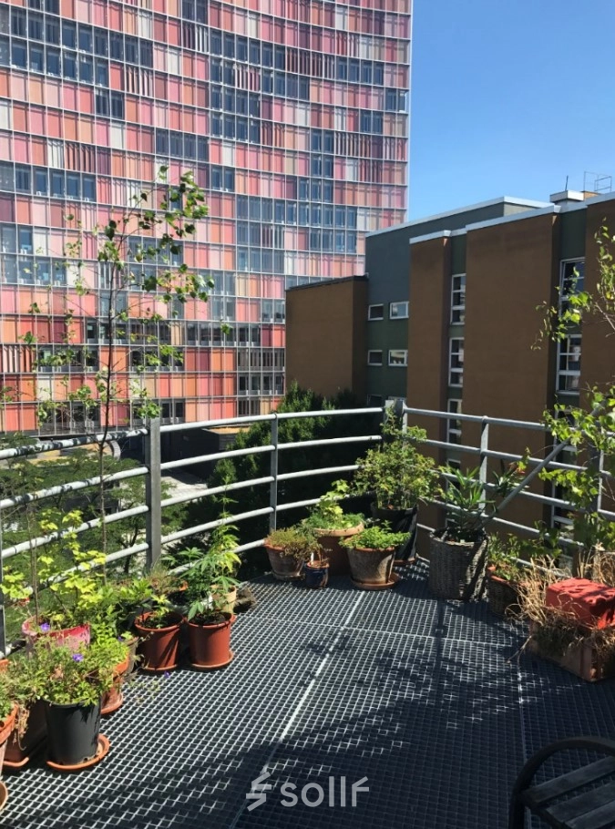 Außenansicht eines Balkons mit Pflanzen in Töpfen, umgeben von urbanen Gebäuden in Berlin Kreuzberg.