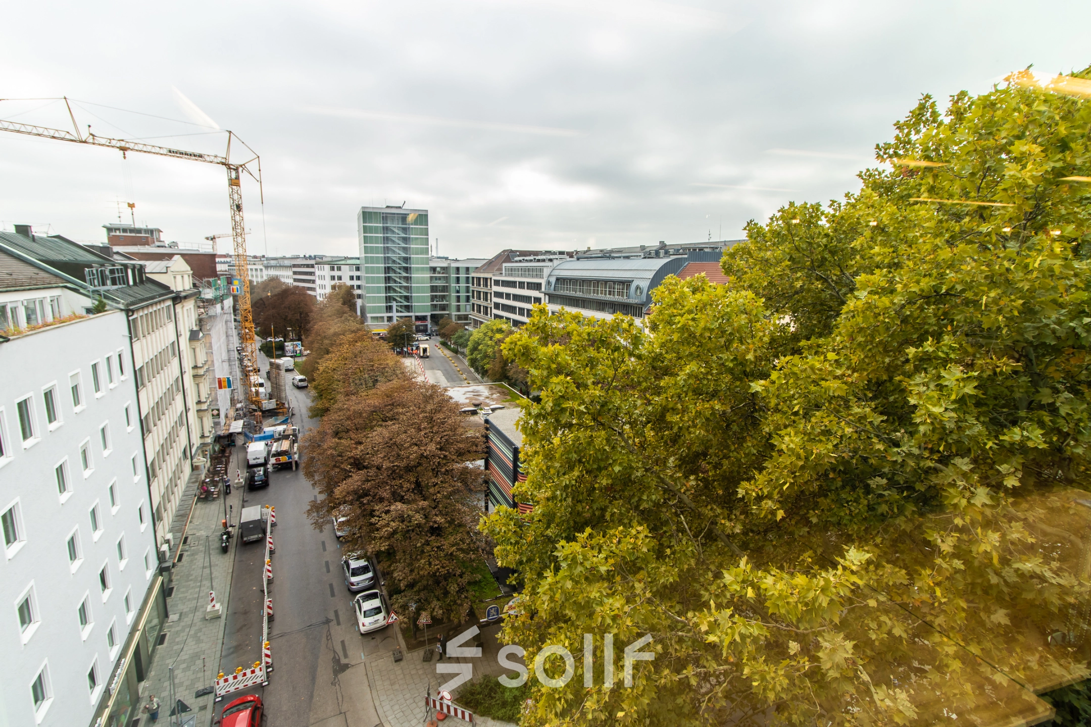 Stadtansicht von München Altstadt mit Blick auf die Herzogspitalstraße 24, umgeben von Grünflächen und modernen Gebäuden.