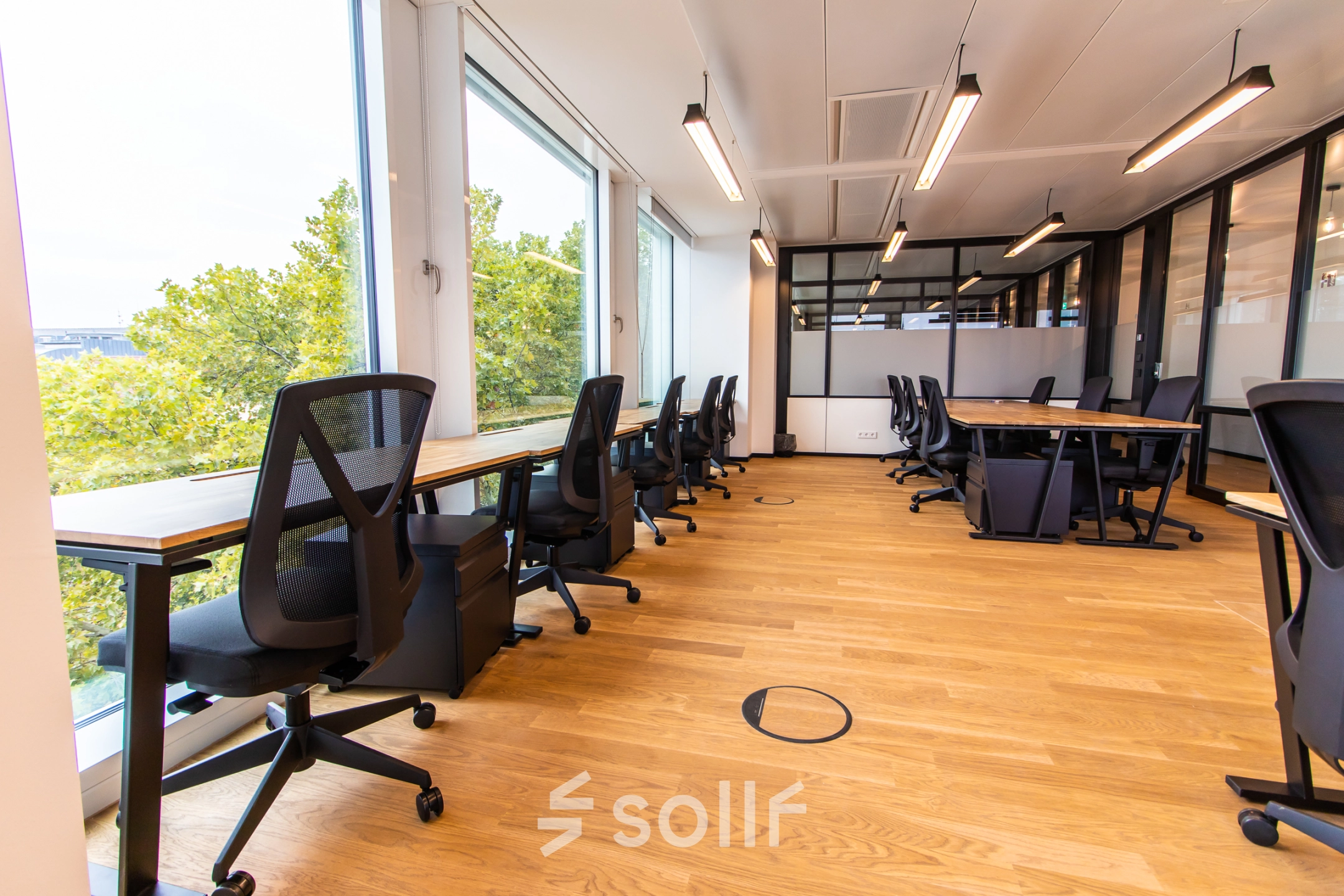 Moderner Büroraum in München Altstadt mit großen Fenstern, Holzfußboden und Schreibtischen; ideal zum Büro mieten und effizientes Arbeiten.