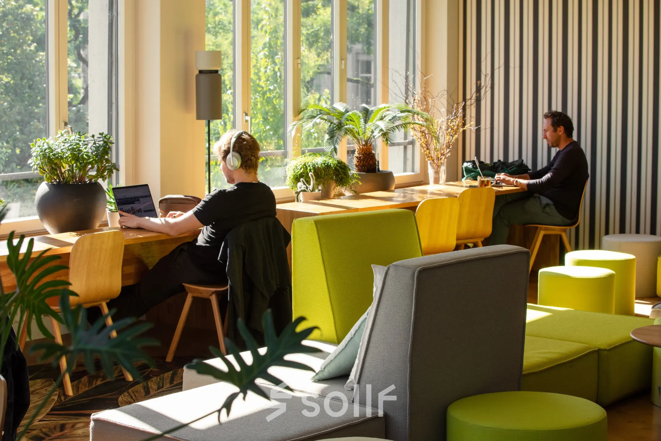 Helles Büro mit zwei Personen, die an Laptops arbeiten, umgeben von Pflanzen. Eine gemütliche Atmosphäre am Ernst Nobs Platz 1 in Zürich City für büroraum mieten oder bürofläche mieten.