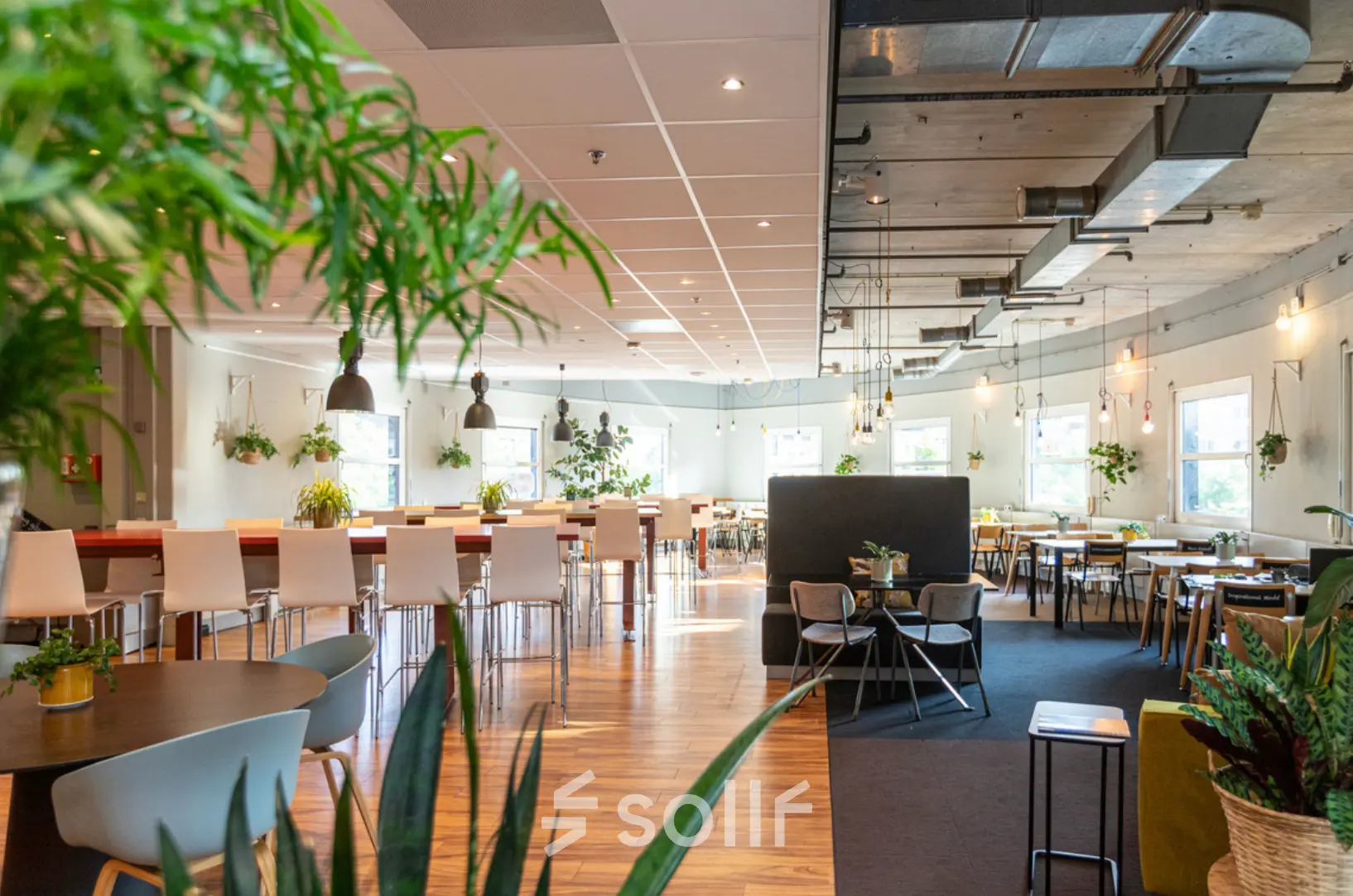 Bright and spacious office with modern furnishings and greenery, located at Stationsplein 49, ideal for rent office space in Amersfoort Centraal Station.