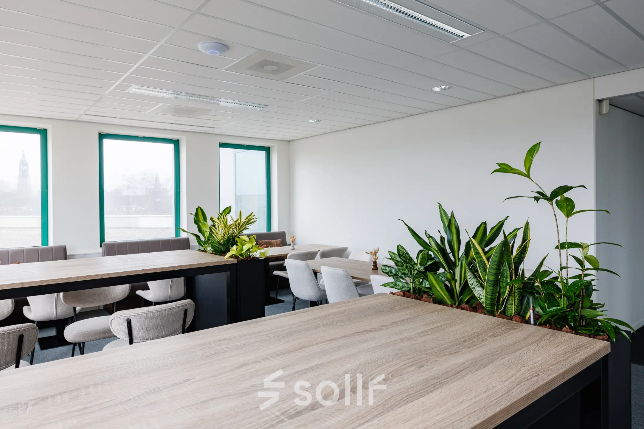 Bright office space at Stadsring 201, Amersfoort Centrum, featuring modern furnishings with desks, chairs, and vibrant green plants.