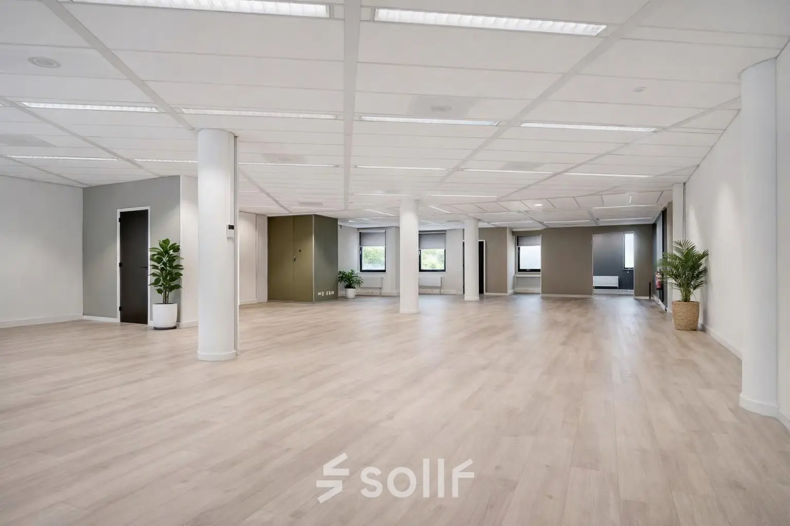 Spacious office area in Amersfoort Centrum with wooden flooring and potted plants, ideal for rent. Plenty of natural light enhances the open layout, perfect for office space rental options.
