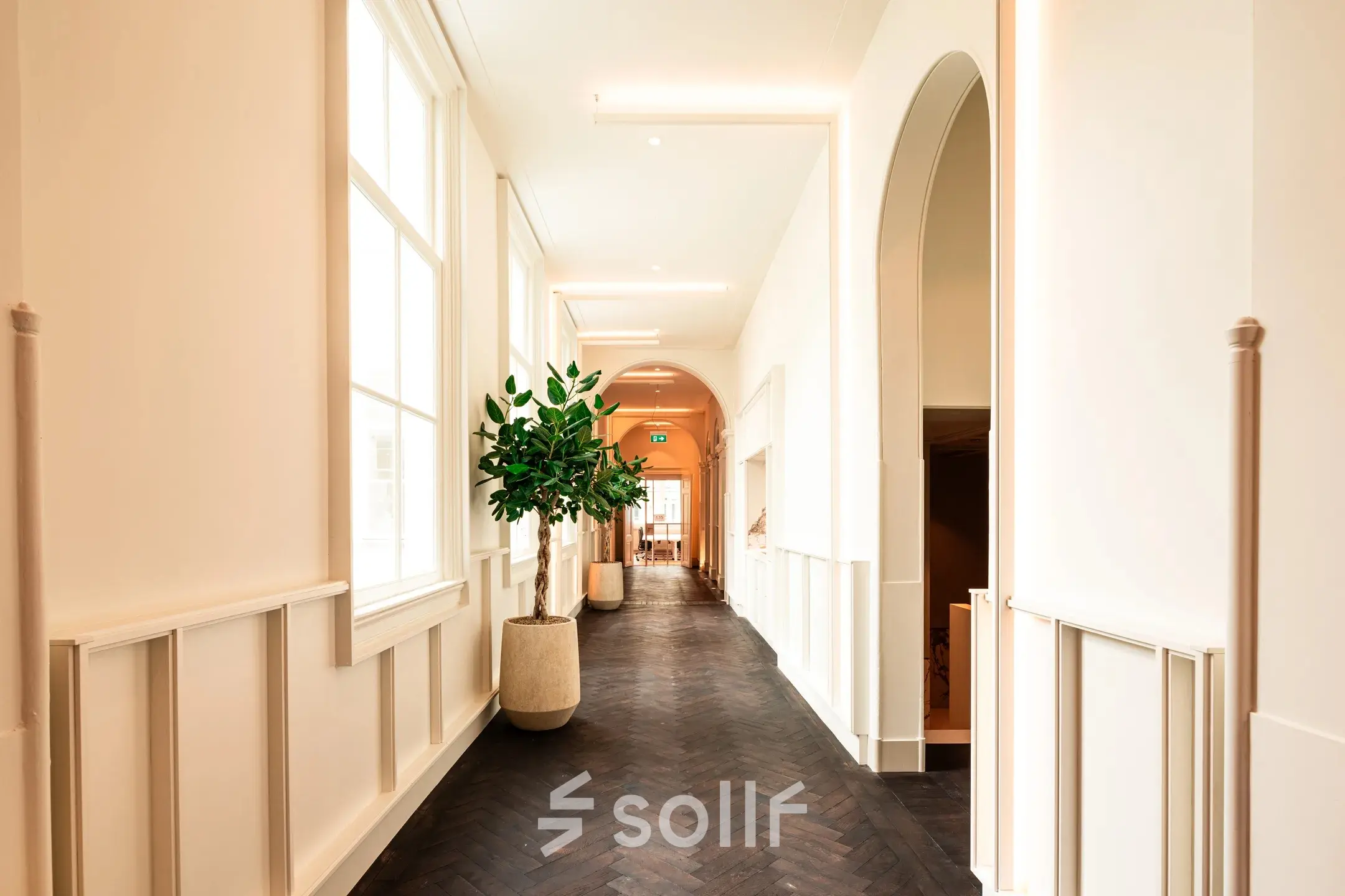Bright hallway in a Keizersgracht 264 office to rent, featuring large windows and potted plants, offering a welcoming space for office space rental.