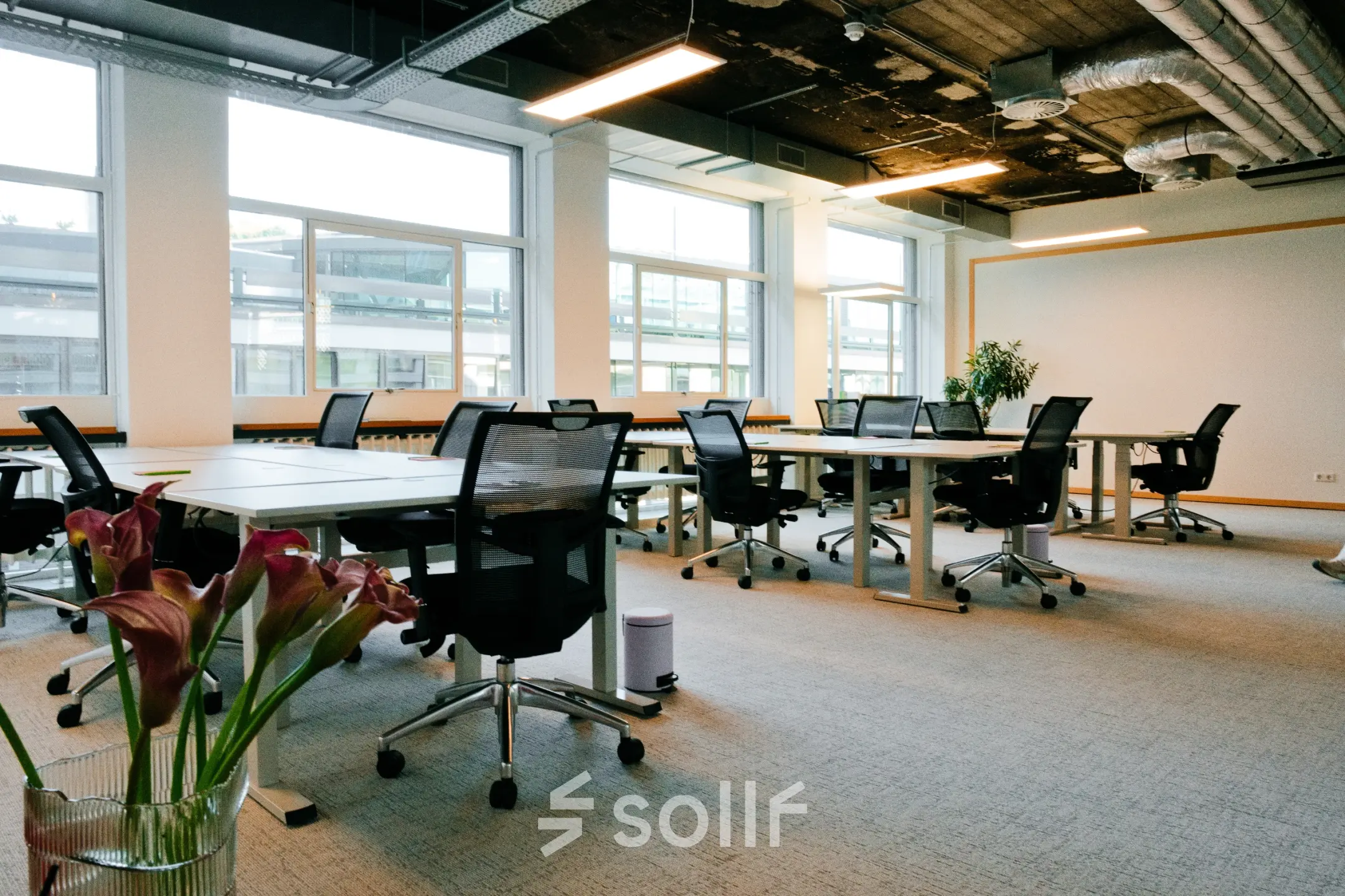 Bright office space with multiple workstations and large windows at Singel 542, perfect for office space rental in Amsterdam Canal Belt.