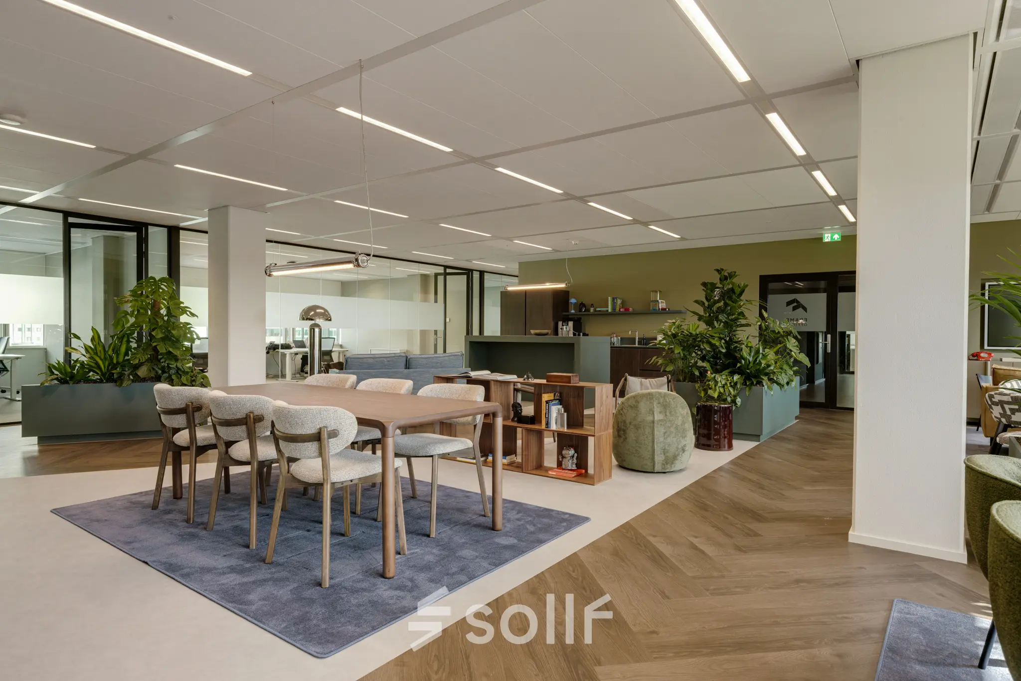 Spacious furnished office at Herikerbergweg 290, Amsterdam South East, features plants and modern furniture, ideal for office space rental.