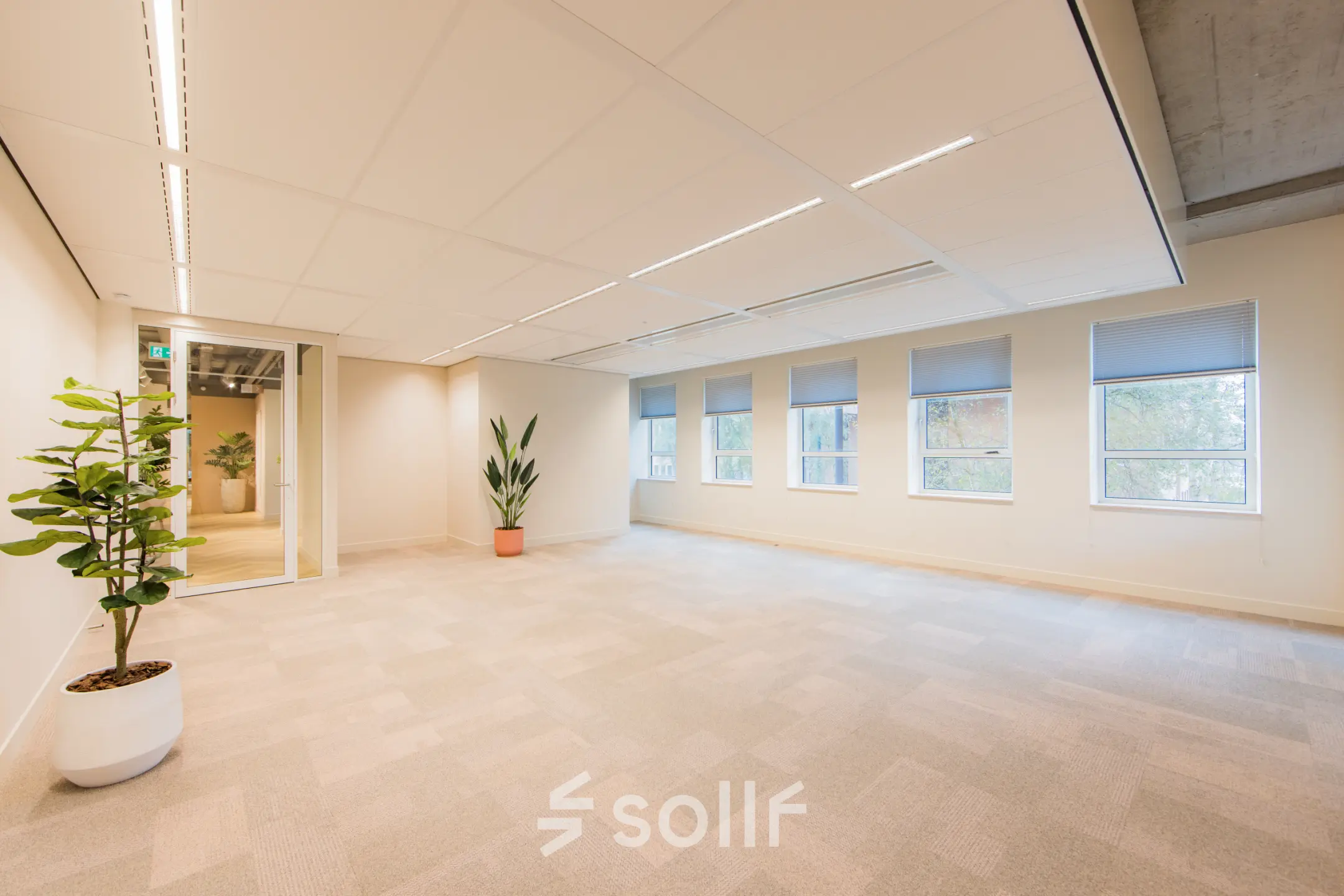 Bright, spacious office space with large windows and potted plants, ideal for office space rental in Amsterdam South East.