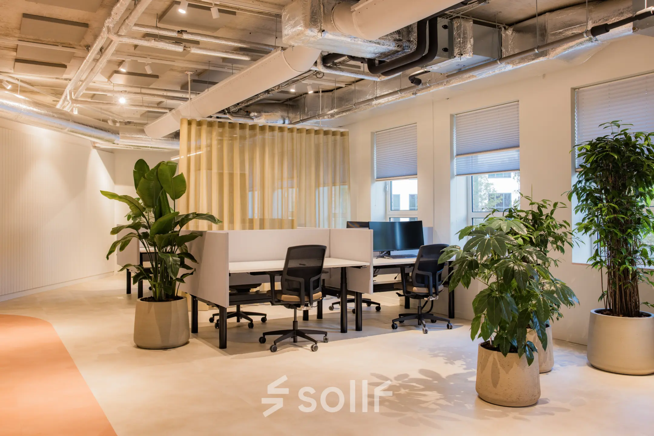 Bright office space with modern decor, featuring desks, chairs, and lush plants at Hullenbergweg 109-135 in Amsterdam South East, available for rent.