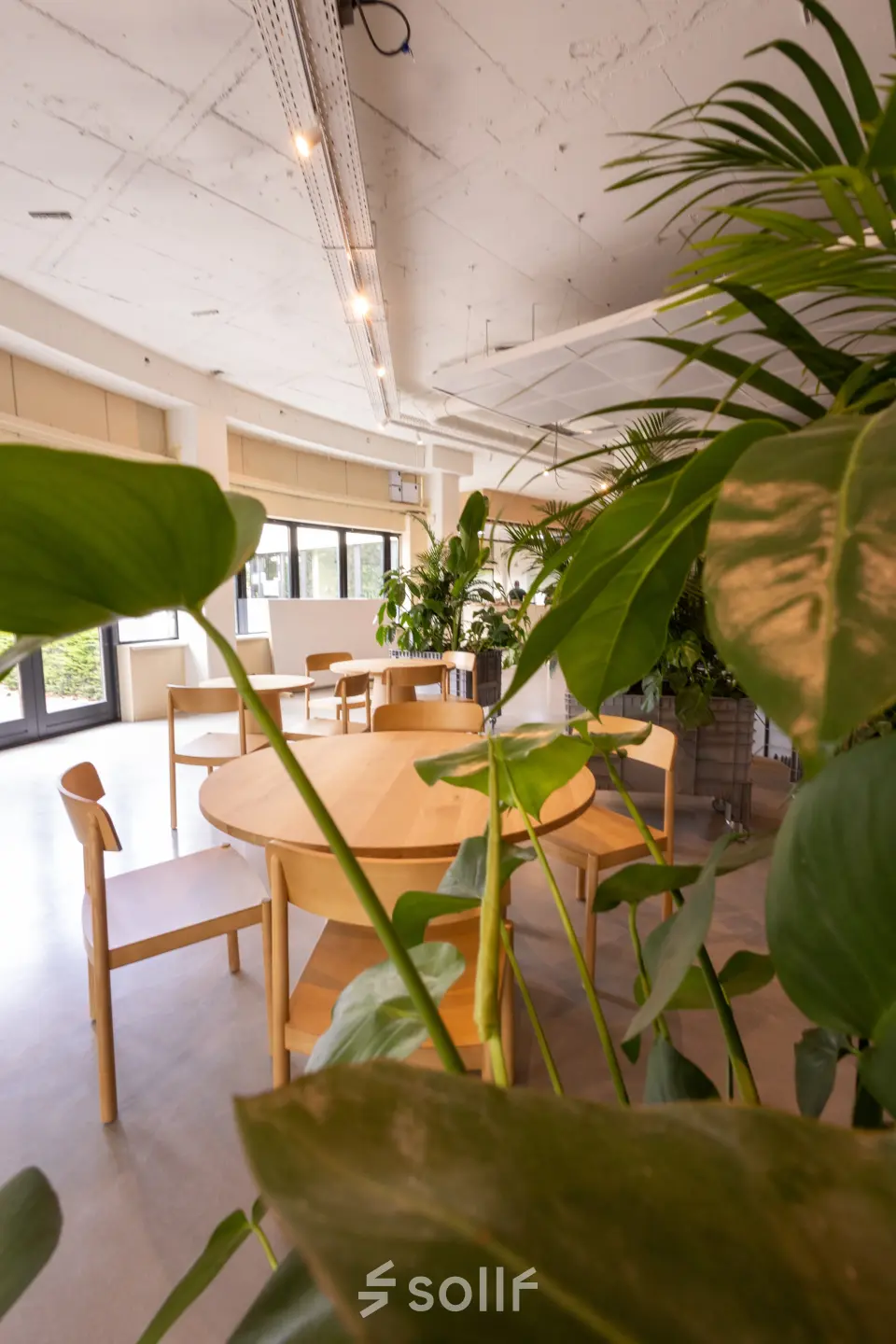 Bright office space at Luttenbergweg 8, Amsterdam South East with natural light, wooden furniture, and abundant greenery, ideal for office space rental.