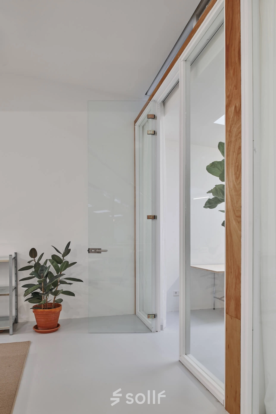 Minimalist office interior at Hondiusstraat 7H, Amsterdam West, featuring a glass door, large window, and indoor plants, creating a calm ambiance. Ideal office space rental for professionals seeking a serene work environment.