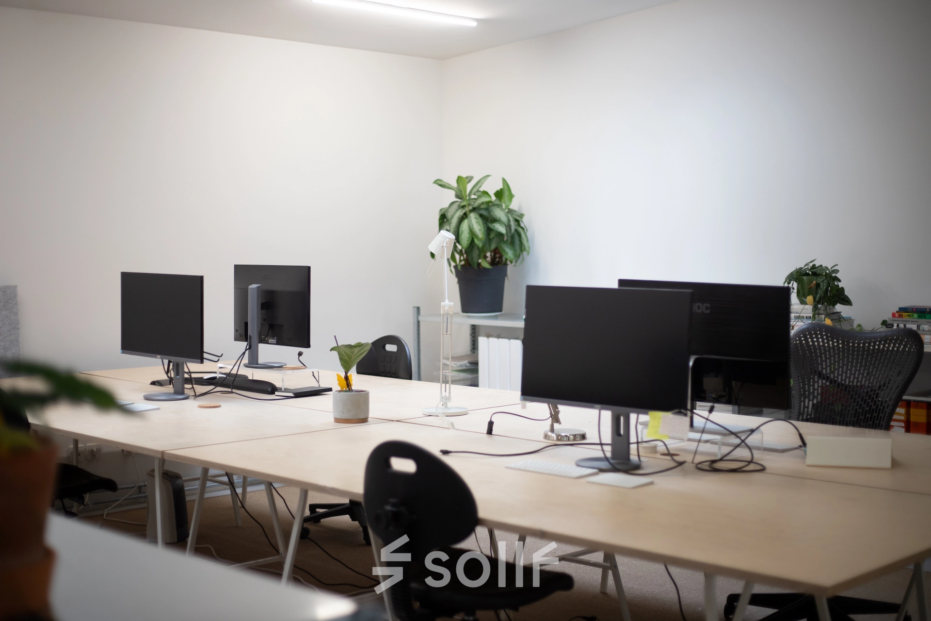 Modern workspace at Hondiusstraat 7H in Amsterdam West, featuring a clean, bright office setup with multiple computer monitors and plants on desks, ideal for office space rental.