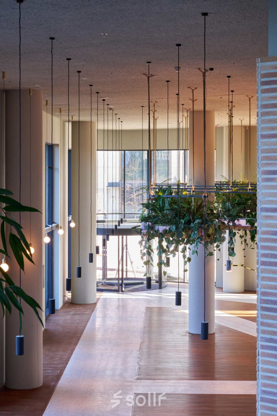 Spacious office area at Hildegard Von Bingenstraat 44, Amsterdam Zuidas, featuring modern decor, hanging plants, and ample natural light, ideal for office space rental.