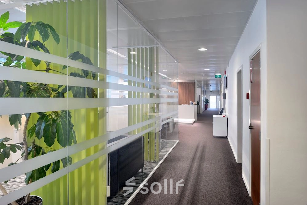Bright and modern hallway in an office available for rent at Lange Lozanastraat 142, Antwerp Center, featuring sleek glass partitions and a vibrant plant.