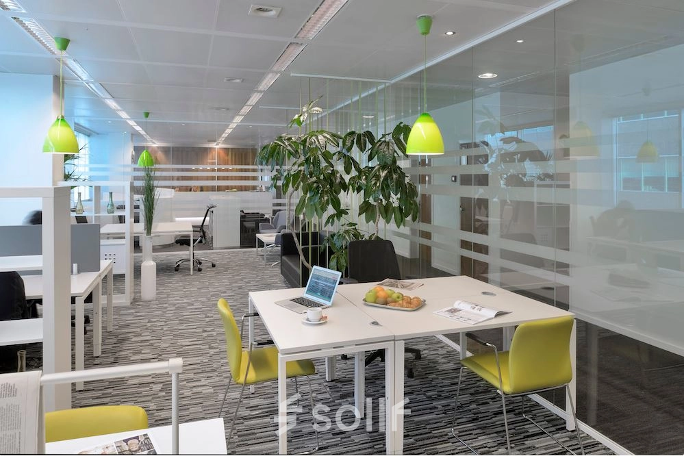 Bright office space on Lange Lozanastraat 142, Antwerp Center with modern furniture, green accents, and ample natural light. Available for rent office space.