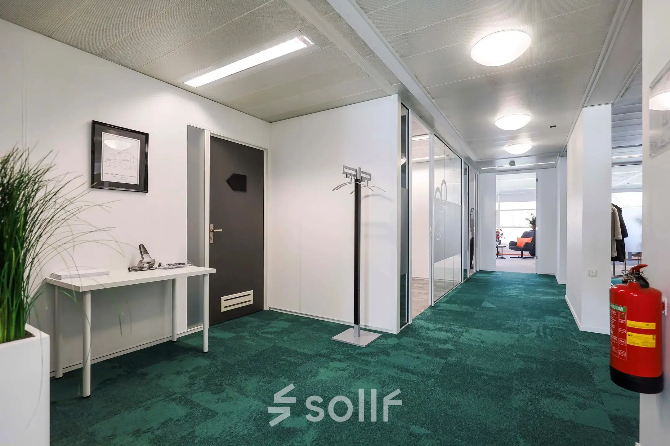 Bright office interior with green carpet, white walls, and a hallway leading to glass-partitioned rooms suitable for office space rental.