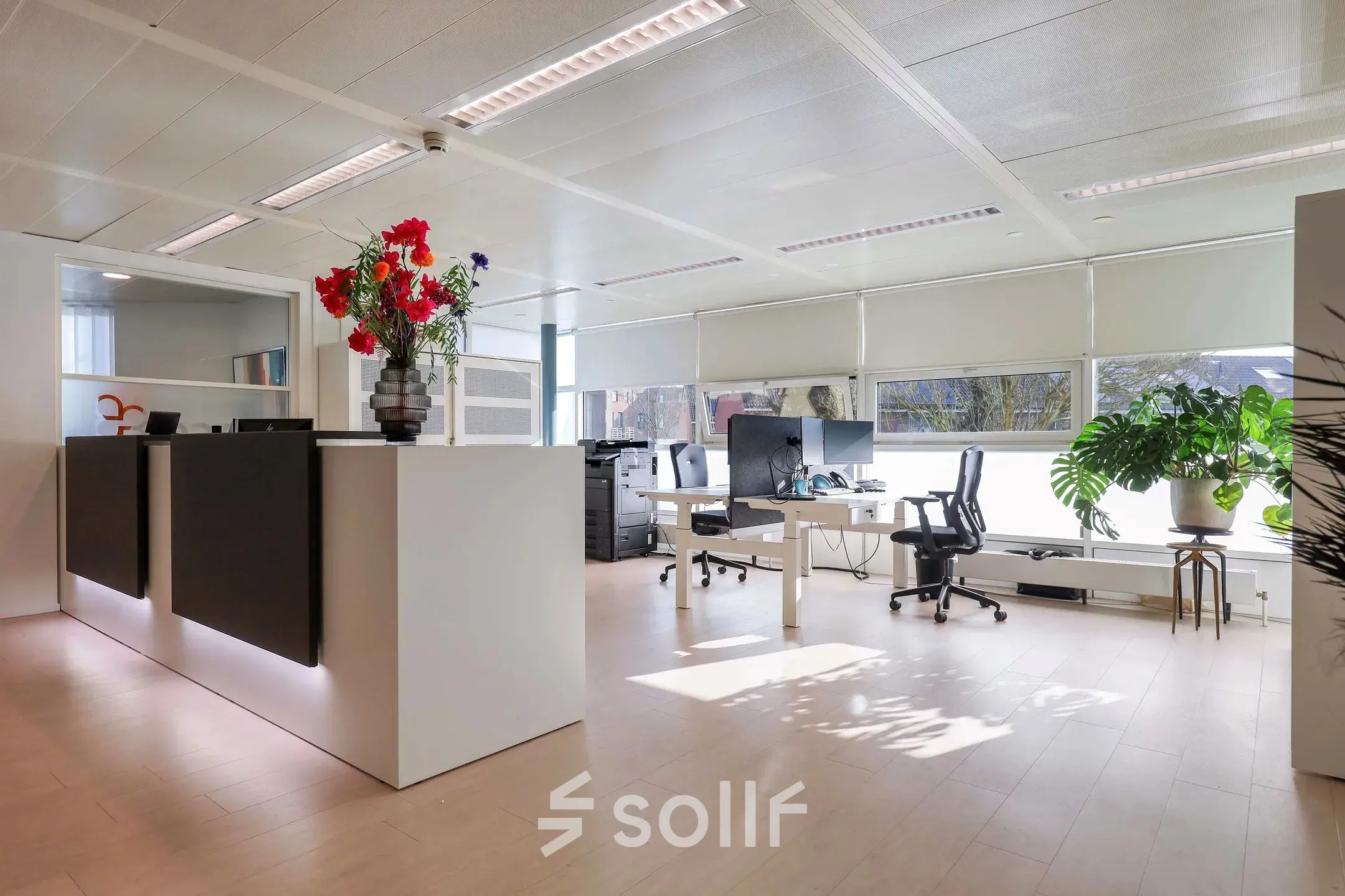 Bright office space at Prins Willem-Alexanderlaan 301 in Apeldoorn with modern furnishings including desks, chairs, and vibrant plants, ideal for office space rental.