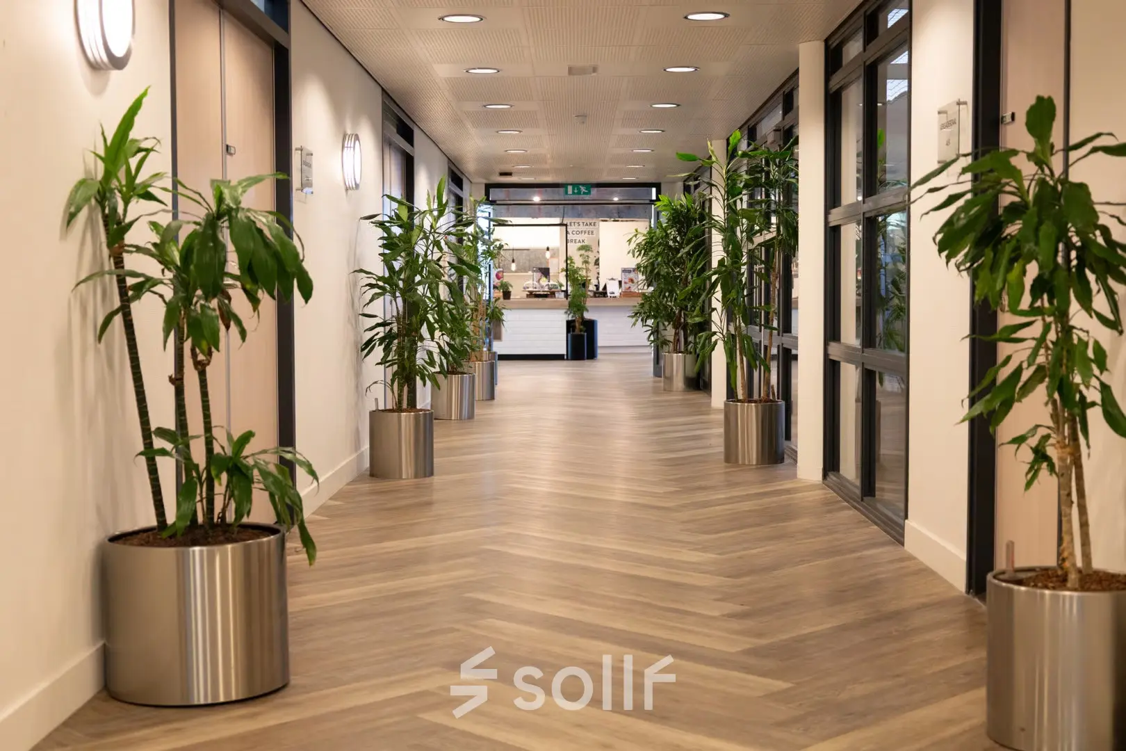 Bright hallway in Apeldoorn's Schumanpark 9, featuring potted plants and wooden flooring; ideal for office space rental.