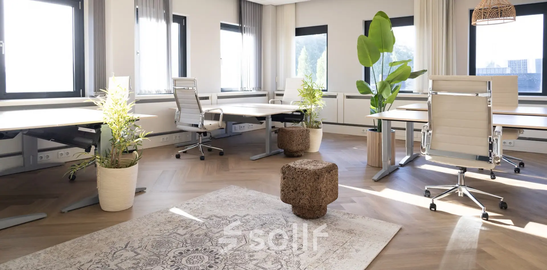 Bright, furnished office space with chairs, desks, and plants at Schumanpark 9, ideal for office space rental in Apeldoorn.