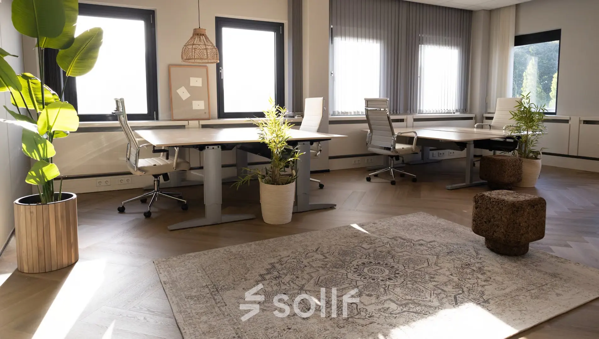 Furnished office space rental at Schumanpark 9 in Apeldoorn featuring modern desks, chairs, and plants, ideal for productivity.