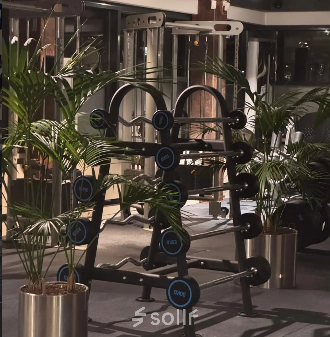 A fitness area featuring weightlifting equipment and lush potted plants, perfect for a break during office work at Schumanpark 9, Apeldoorn.