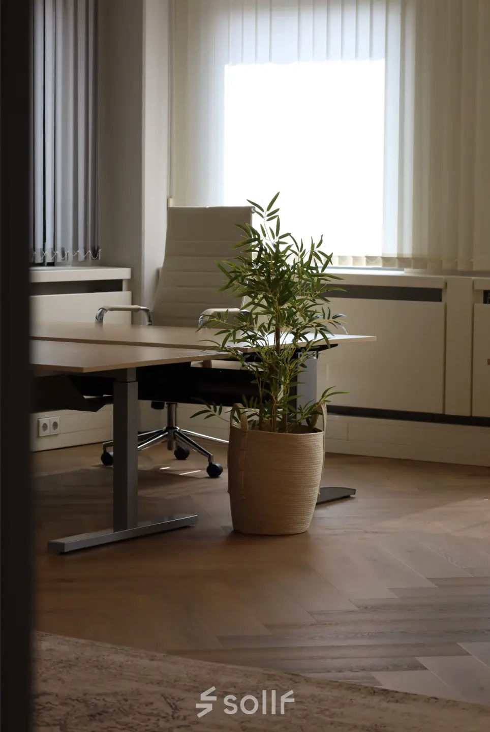 A furnished office space rental at Schumanpark 9, Apeldoorn, featuring a desk, chair, and potted plant, perfect for professionals seeking a serene work environment.