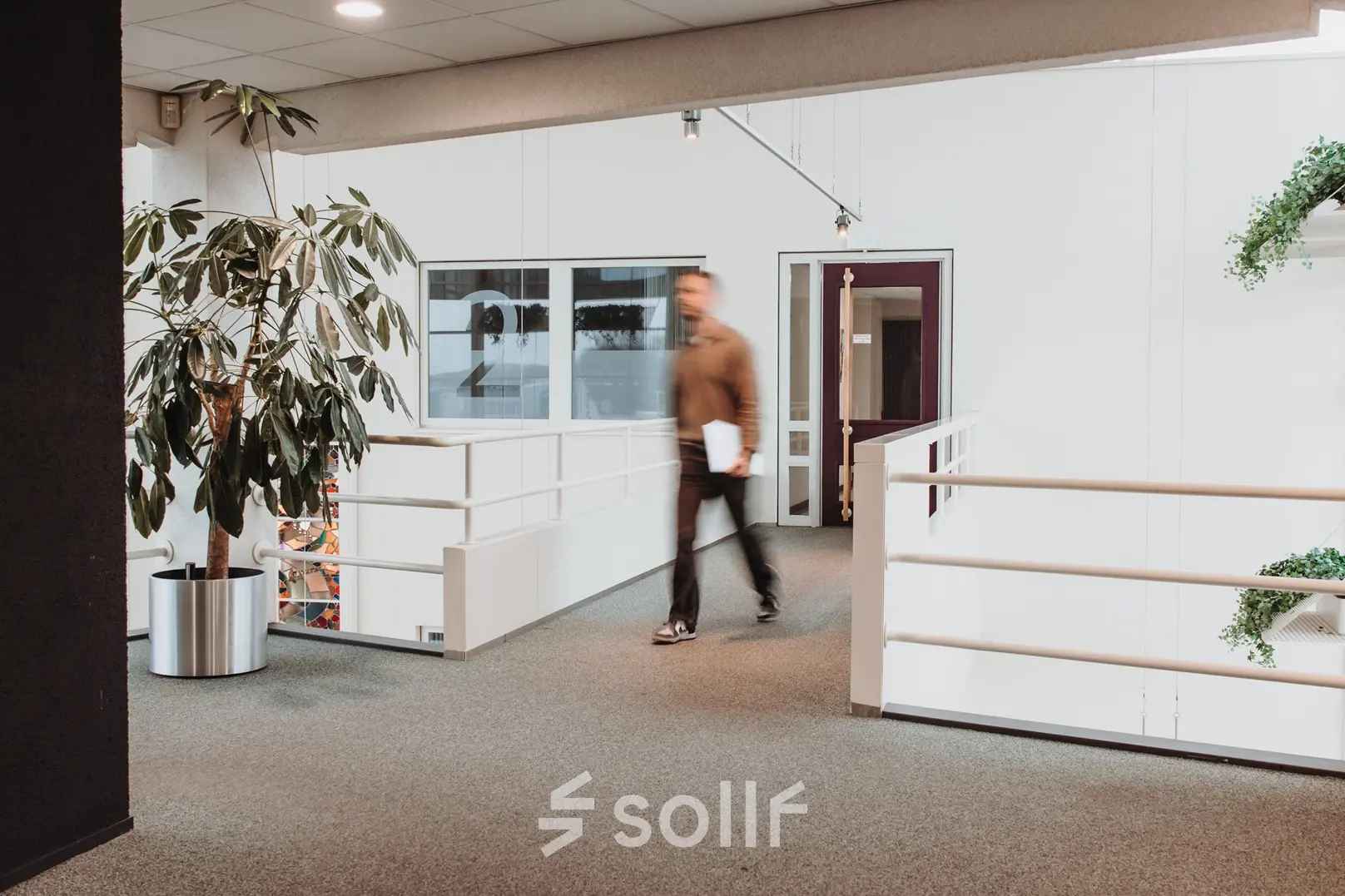 A hallway in an Arnhem IJsseloord office with a person walking, surrounded by greenery.