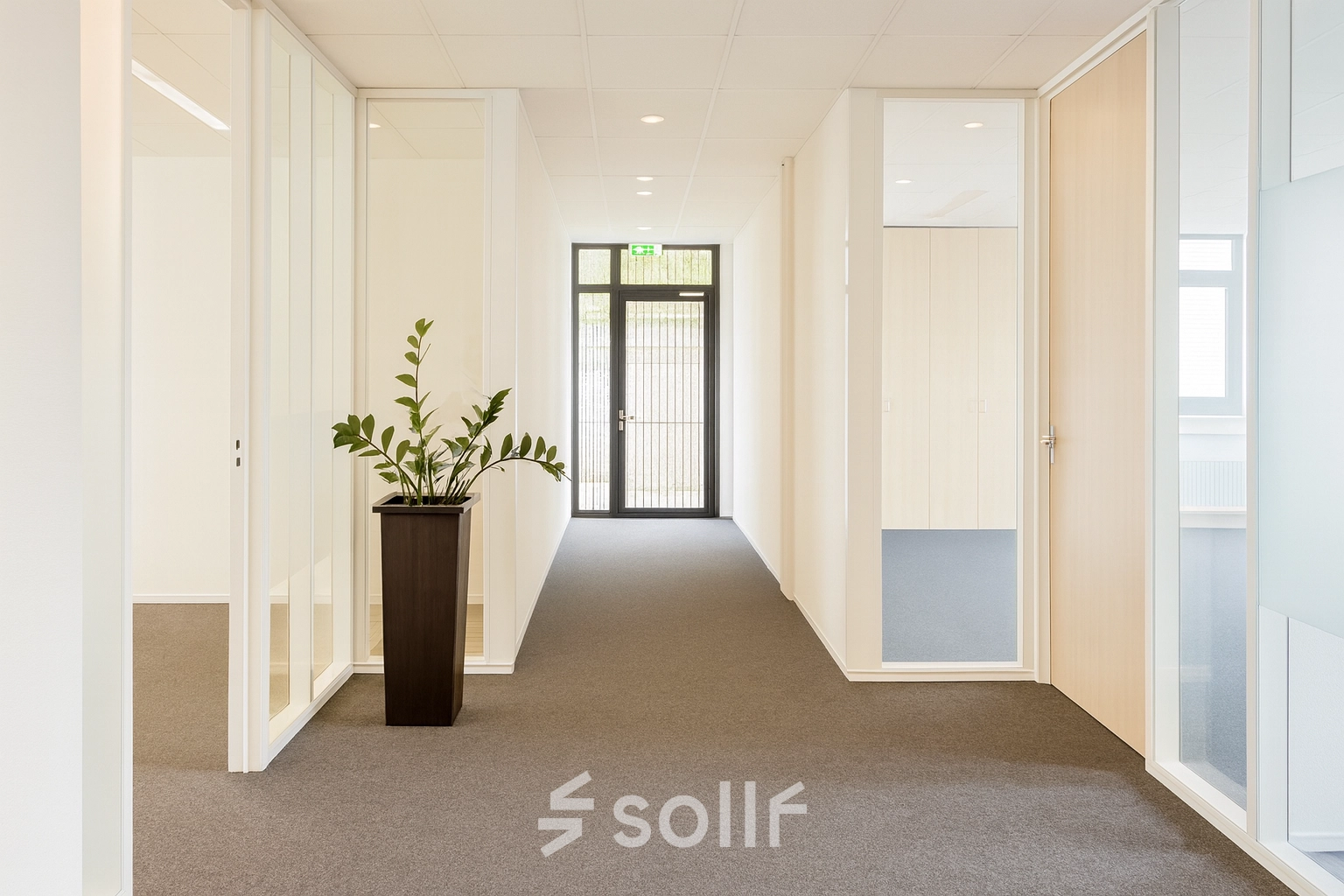 Bright office space in Breda Oost with glass doors and a plant, ideal for office space rental.