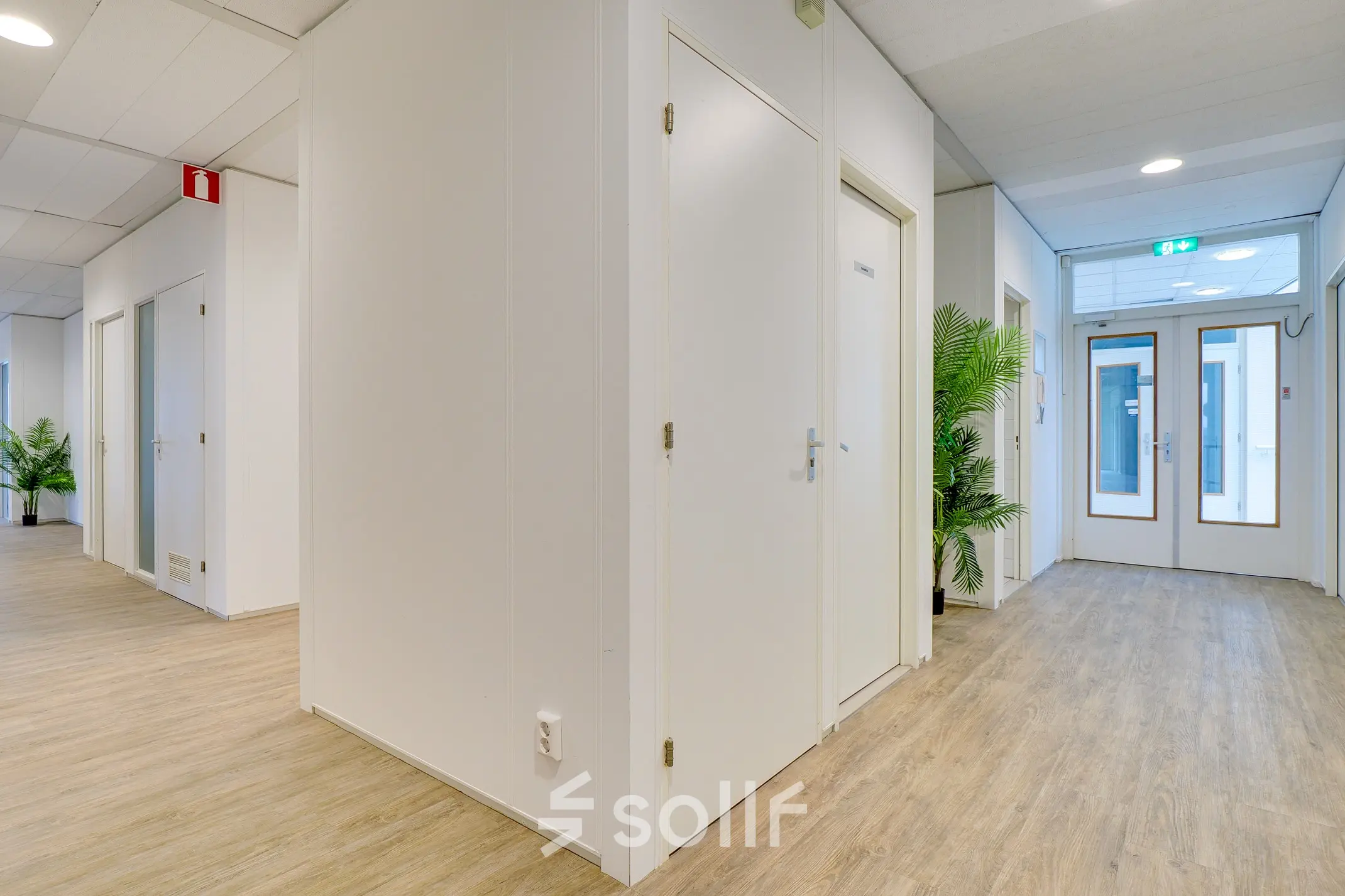 Spacious office hallway with wooden flooring and potted plants at Regulierenring 2, Bunnik, ideal for office space rental.