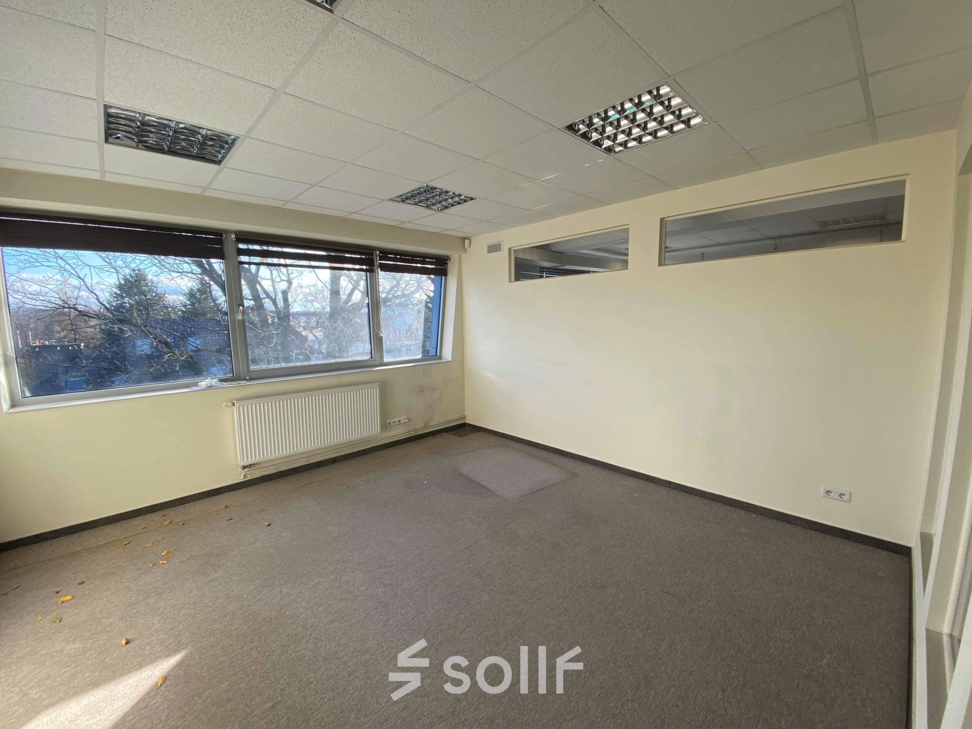 Bright office space rental at Marcika 27 in Cracow Łagiewniki Borek Fałęcki, featuring large windows overlooking natural surroundings, ideal for those seeking an office to rent with an airy ambiance.