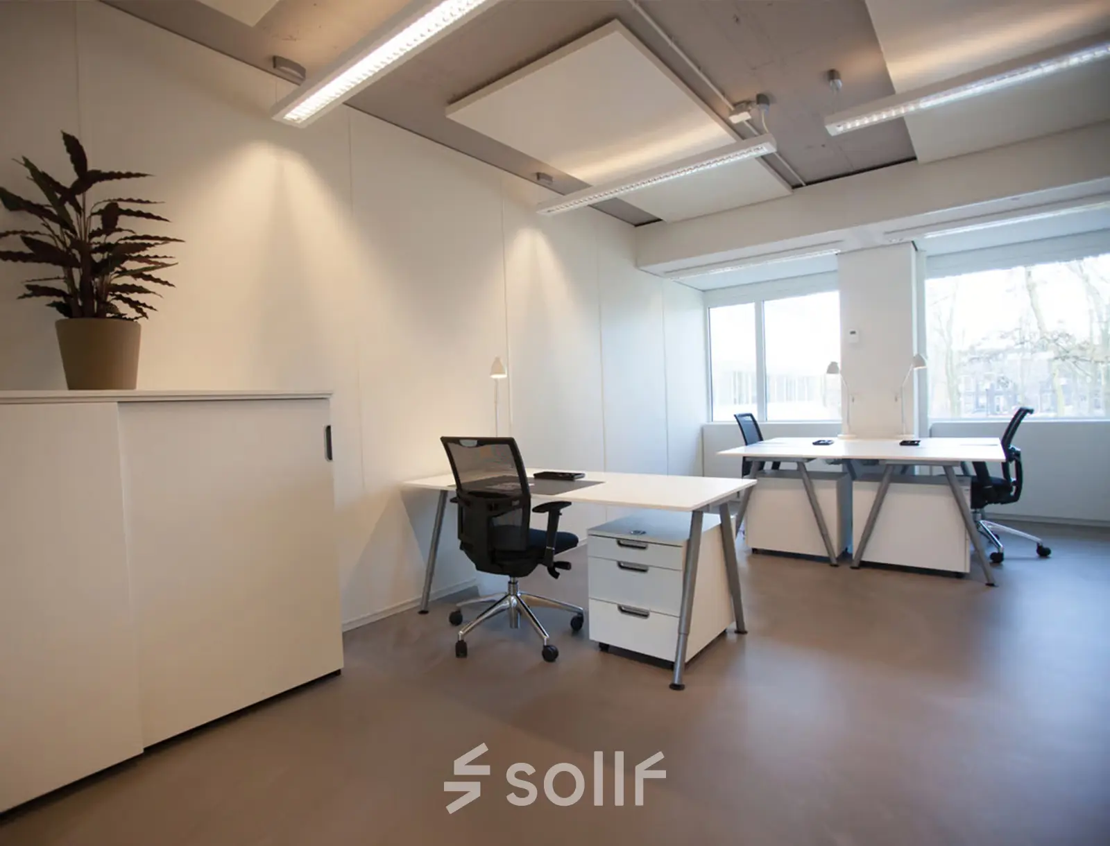 Bright and minimalist office space in Delft at Poortweg 4, featuring modern desks and a potted plant. Ideal for those seeking an office space rental with natural light.