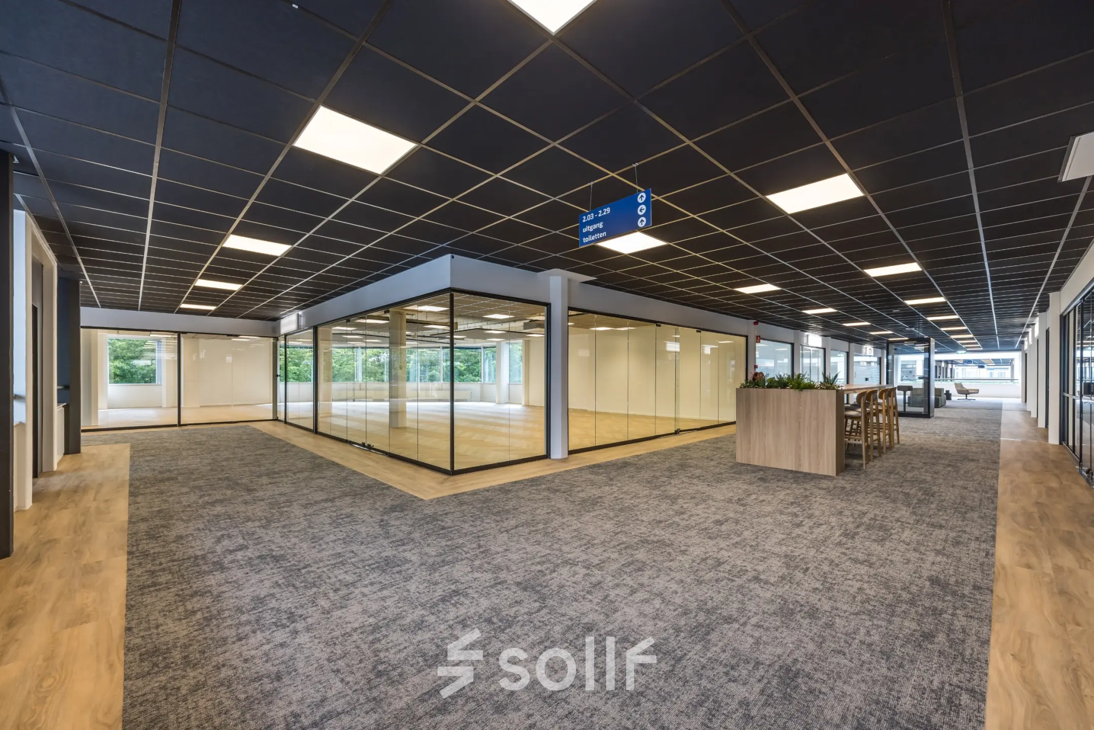 Spacious rentable office space with glass-walled meeting rooms at Eindhoven Airport, featuring modern interiors and natural light.
