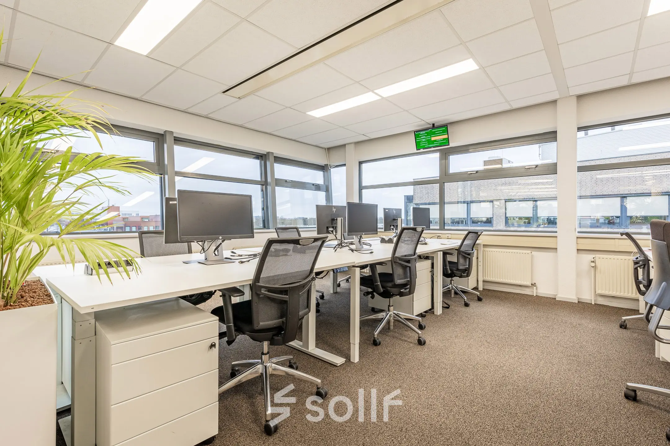 Bright office space with multiple desks and chairs, featuring large windows and ambient lighting, perfect for office space rental in Eindhoven De Hurk.