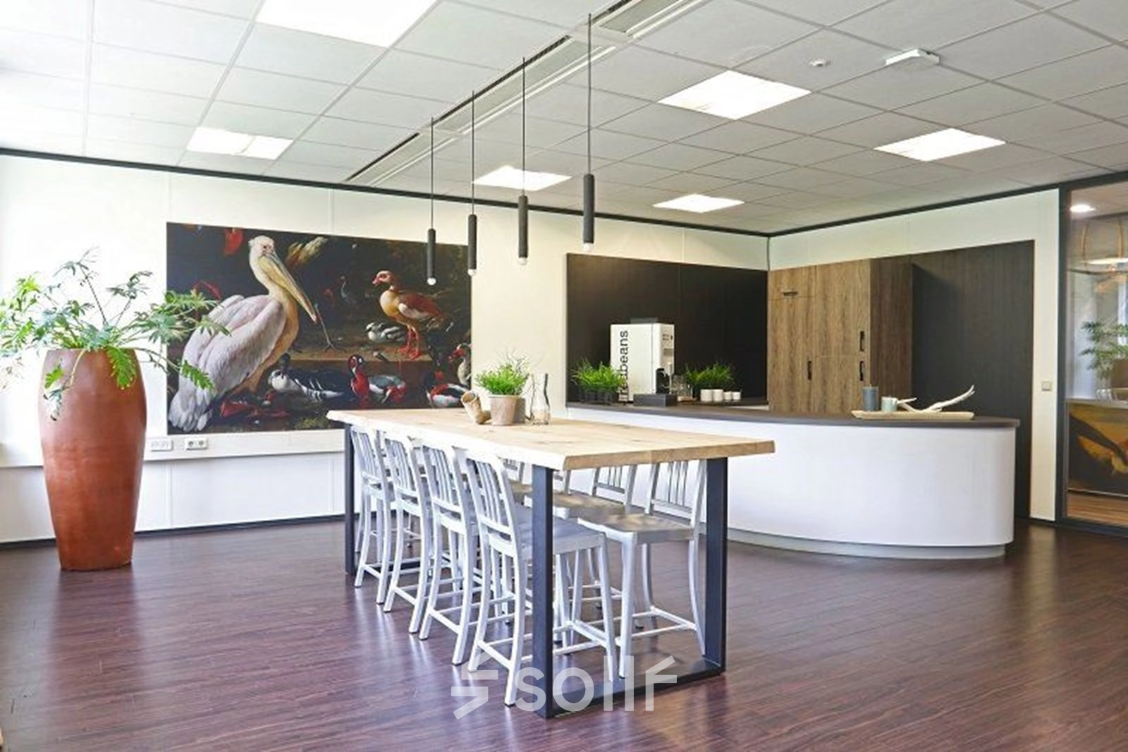 Bright office space at Anderlechtstraat 15, Eindhoven North featuring a long wooden table with chairs, plants, and modern lighting, perfect for collaborative work. Ideal for office space rental.