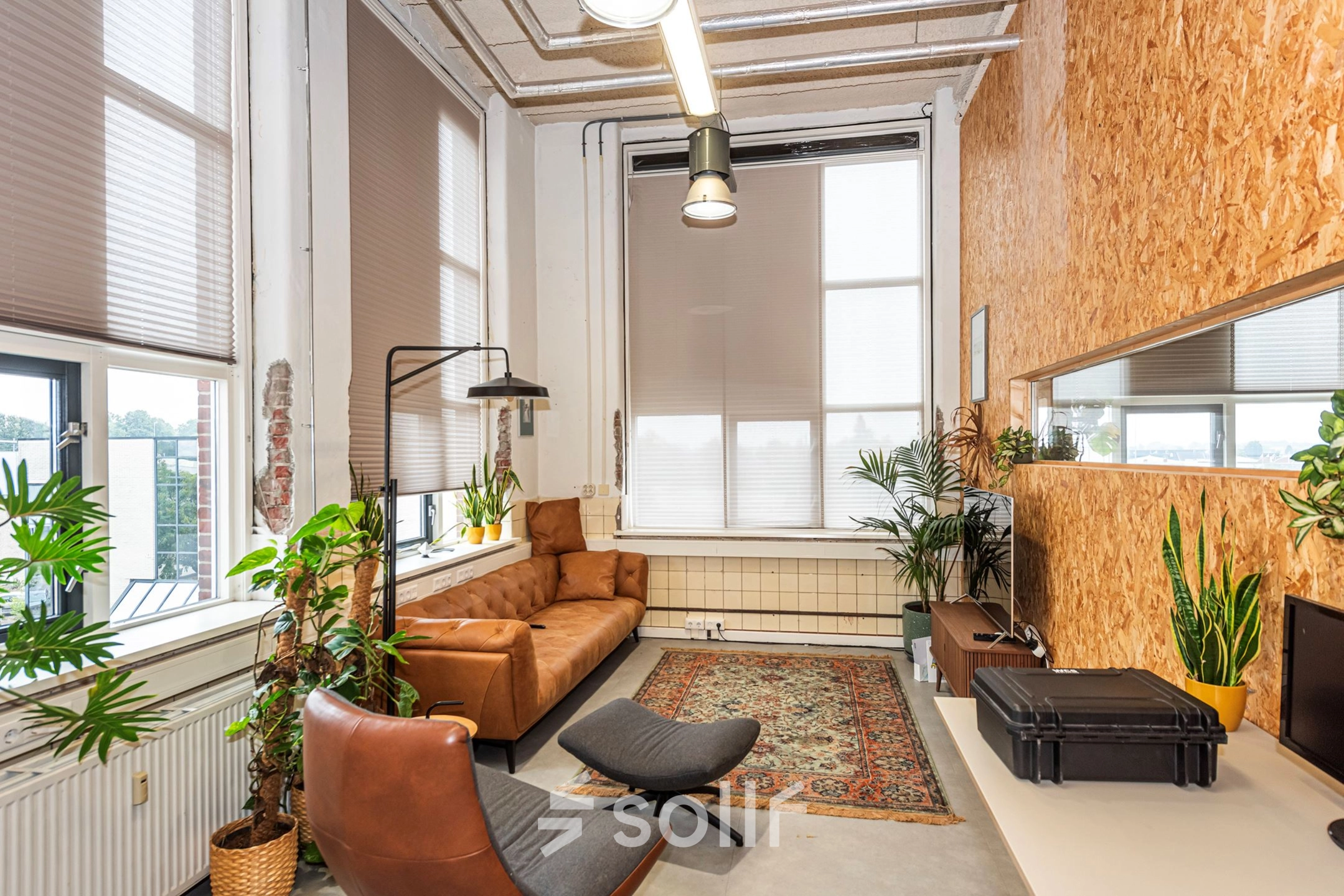 A cozy office to rent in Enschede features a comfortable seating area with leather chairs, a sofa, and a decorative rug, surrounded by indoor plants.