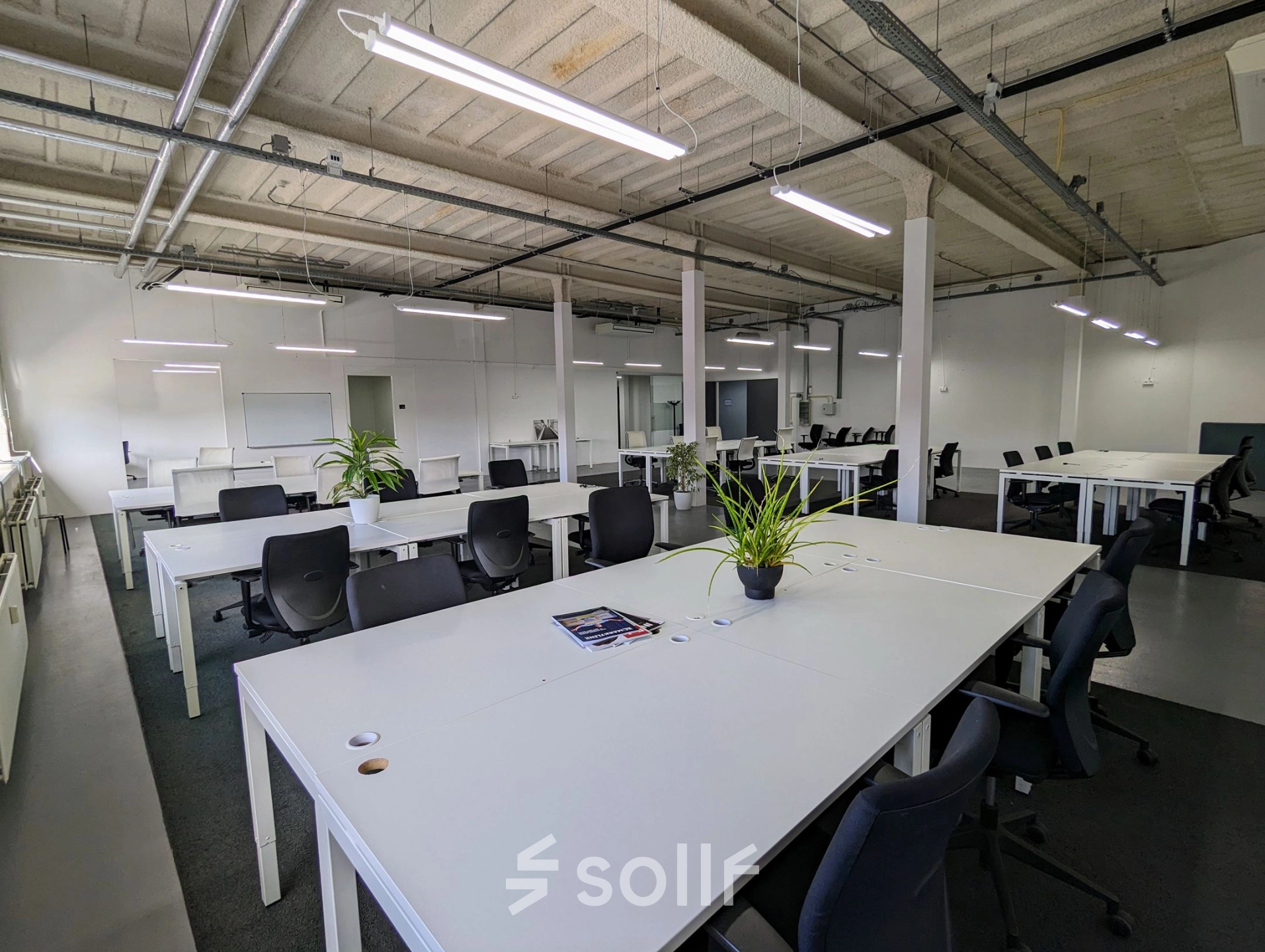 Spacious office interior at Rigtersbleek-Zandvoort 10, Enschede, featuring modern desks with chairs, plants, and bright lighting, ideal for office space rental.