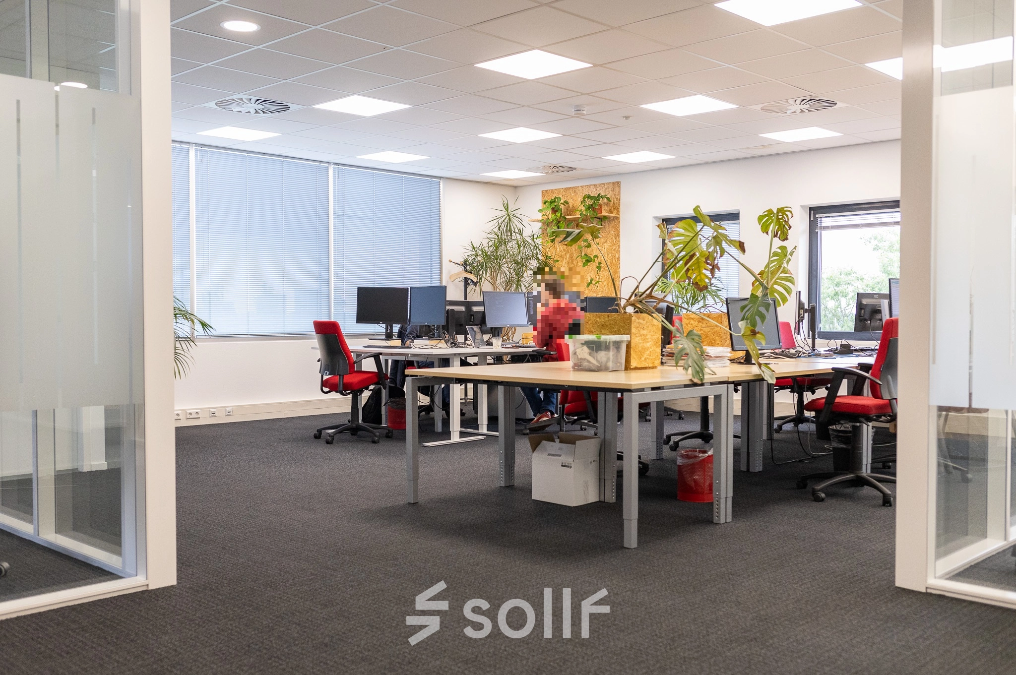 Furnished office space for rent at Zuidelijk Halfrond 1, Gouda, with desks, chairs, and plants in a bright setting.