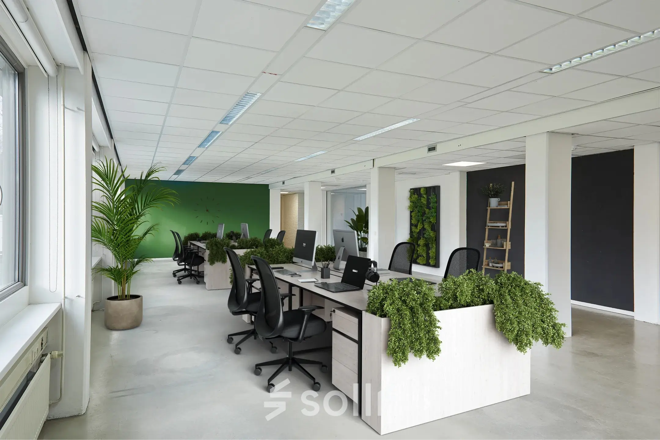 Modern office space at Schweitzerlaan 12, Groningen, featuring open workstations with ergonomic chairs and lush greenery, perfect for office space rental.