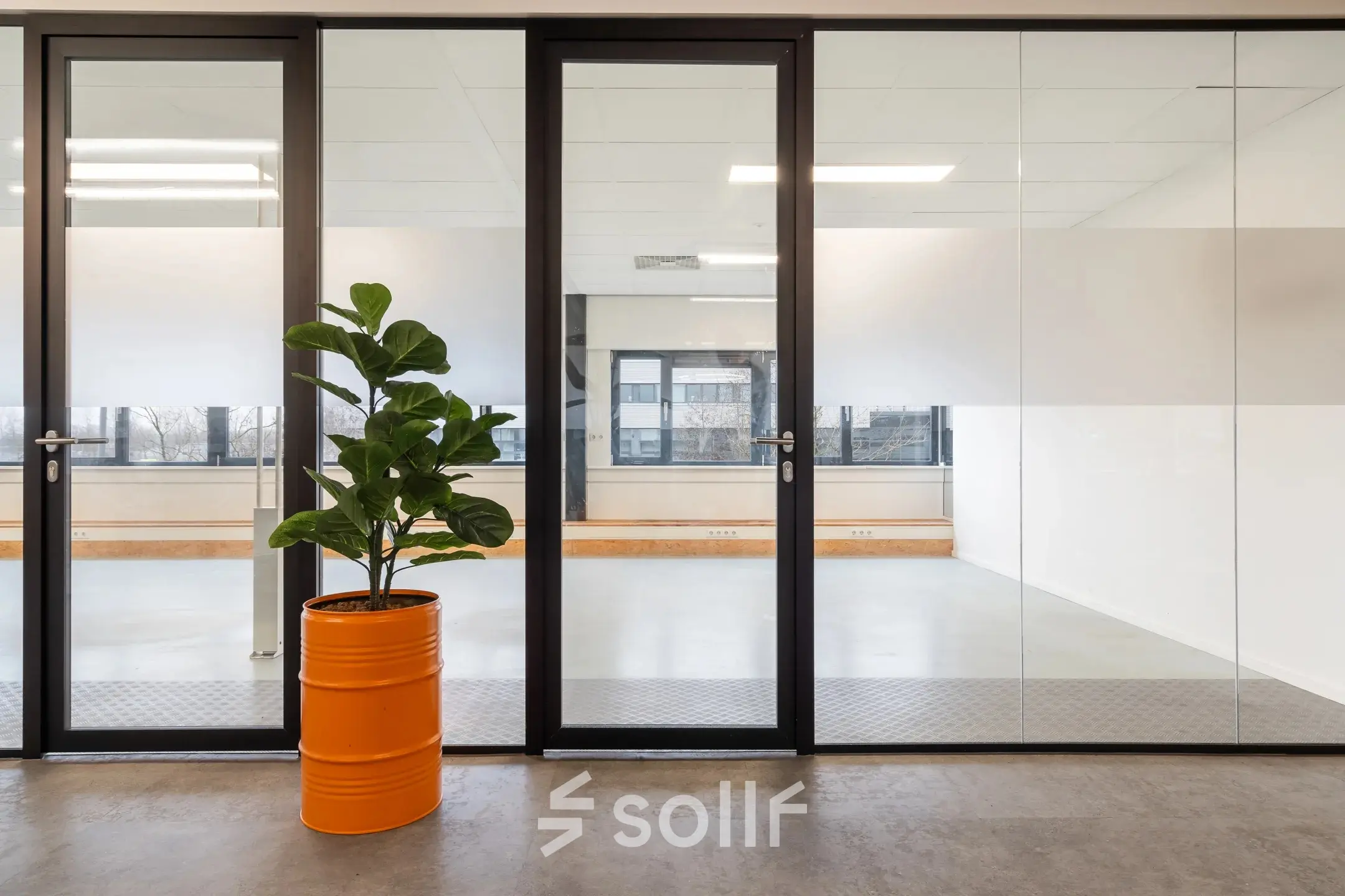 Bright office space with glass walls, a potted plant, and ample natural light at Waarderweg 52, ideal for office space rental in Haarlem Waarderpolder.