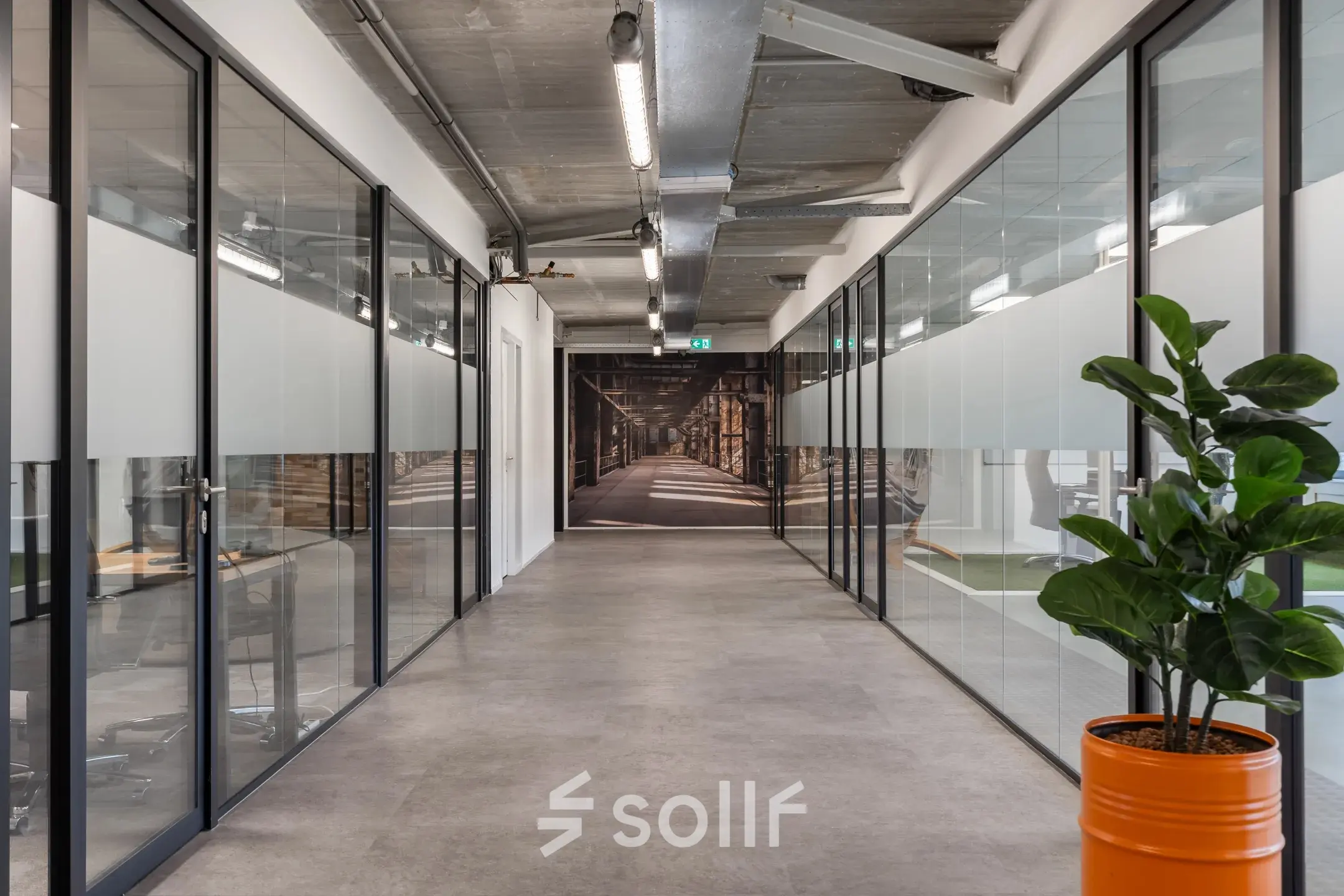 Bright office space for rent at Waarderweg 52, Haarlem Waarderpolder, with glass-walled workspaces and a potted plant adding a touch of greenery.