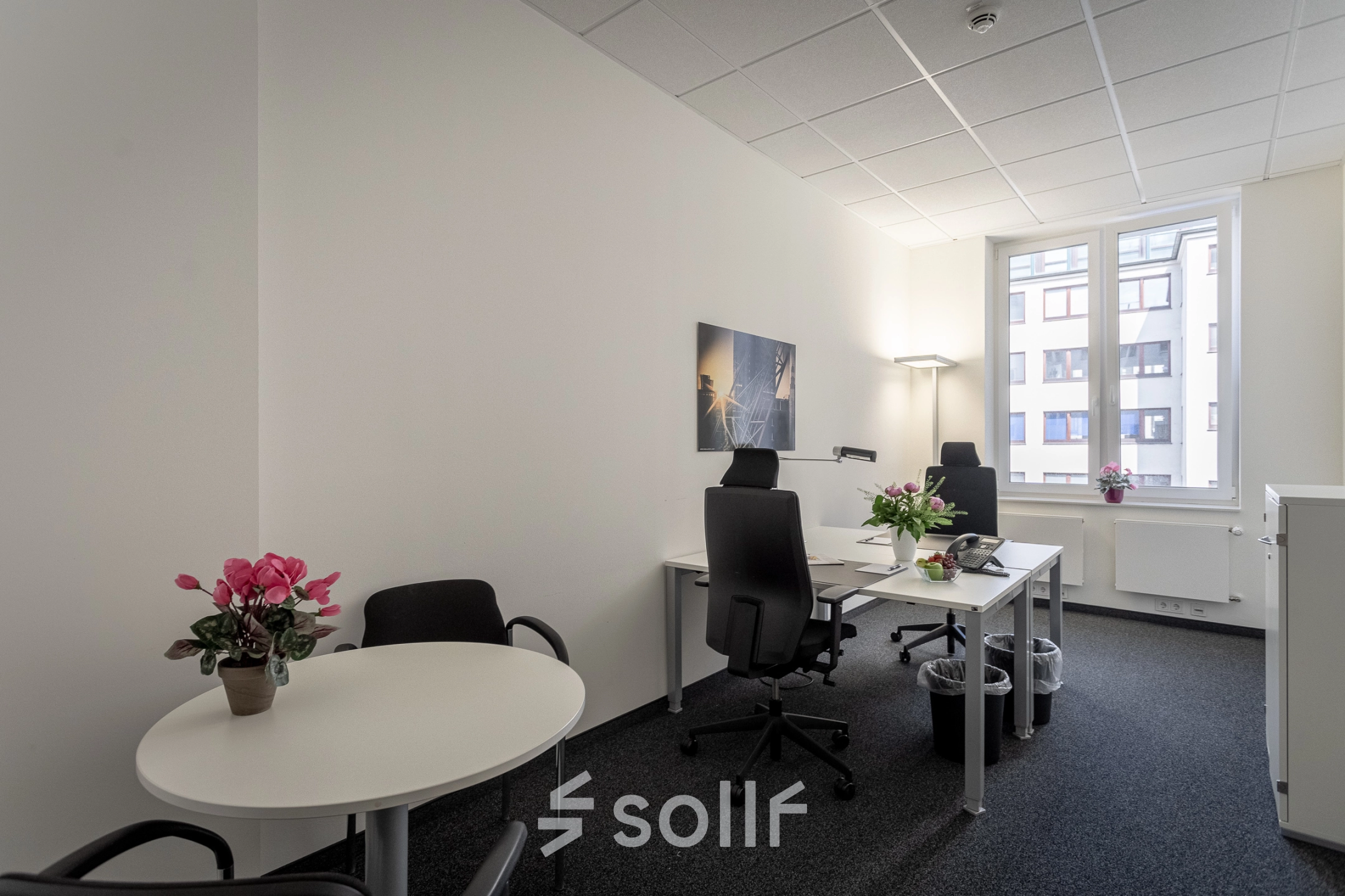 Bright office space at Raboisen 38, Hamburg Old Town, featuring modern furniture and potted plants, ideal for office space rental.