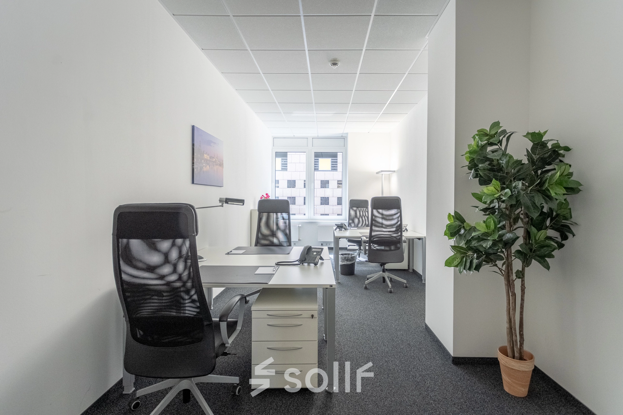 Modern office space rental in Hamburg's Old Town at Raboisen 38, featuring a furnished interior with desks, chairs, and a potted plant.