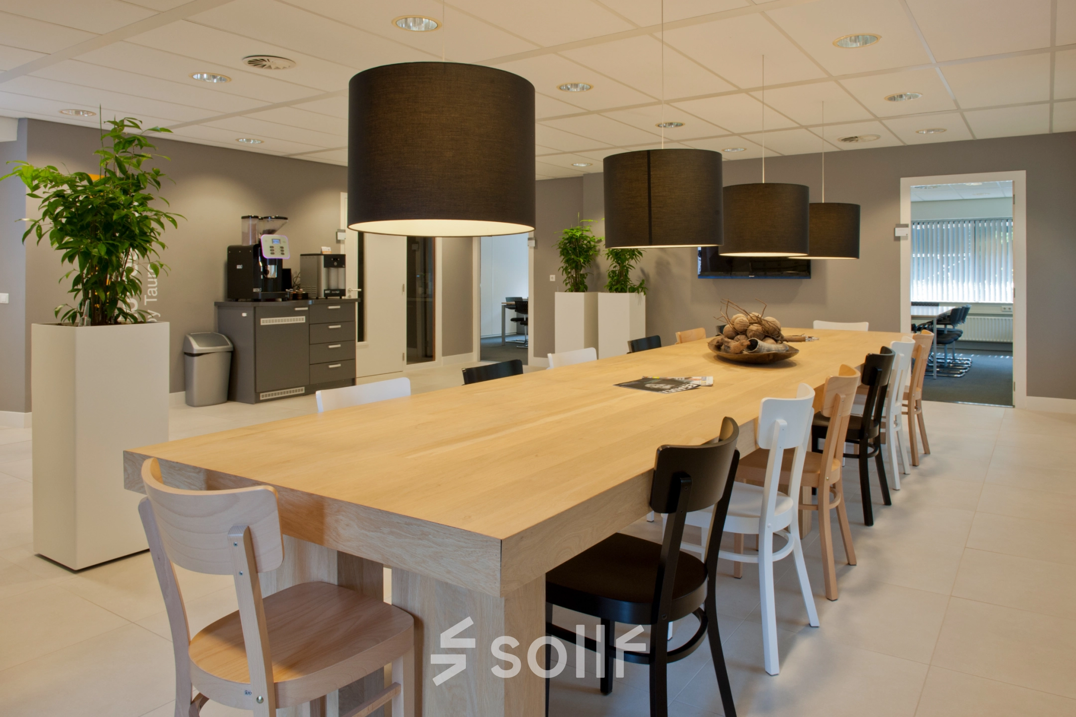 Spacious and well-lit office space in Heemstede with a large wooden table, modern chairs, and plants, perfect for meetings or collaborative work.