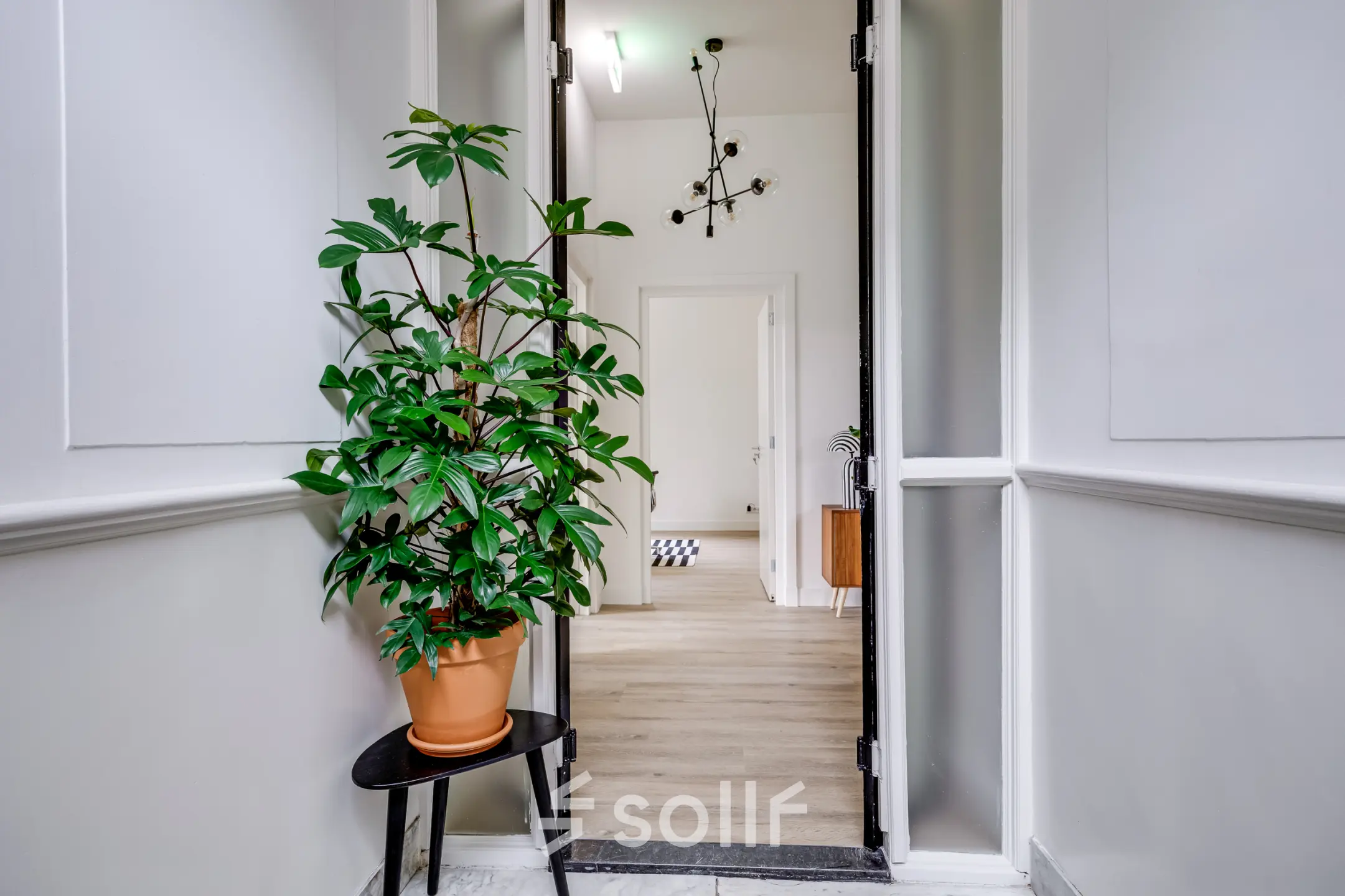 View of an office entry space with potted plant and open doors leading into a bright, inviting area at Graaf Florislaan 40 in Hilversum. Ideal for office space rental.