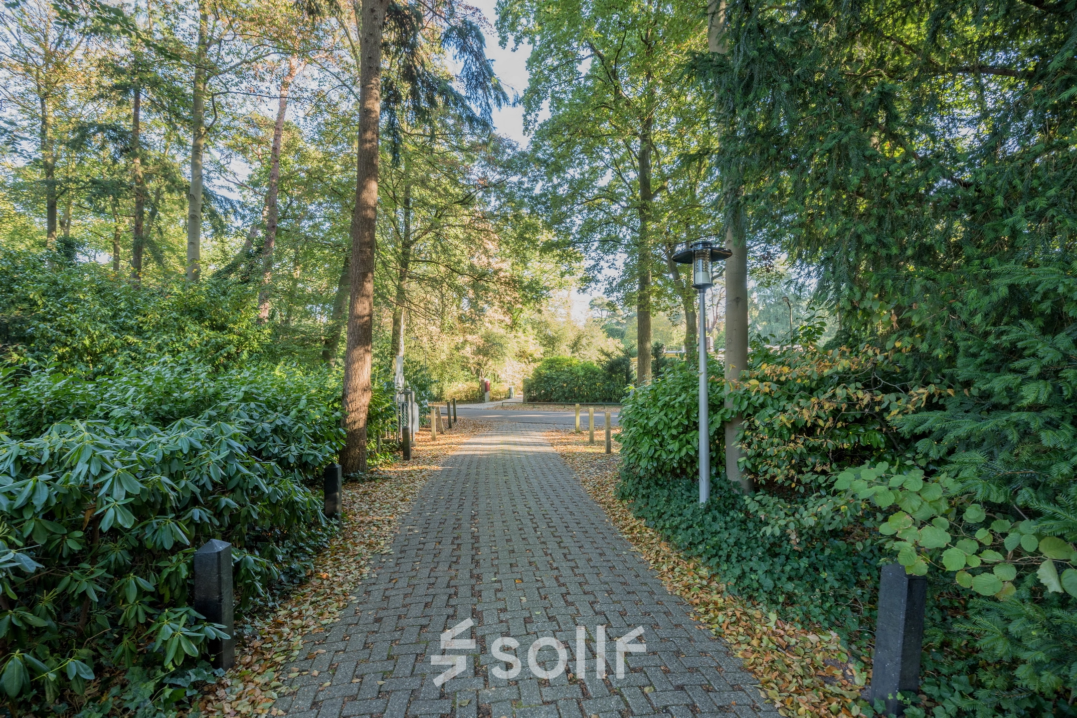 Entrance path surrounded by lush greenery leading to office space for rent at Mozartlaan 27, Hilversum.