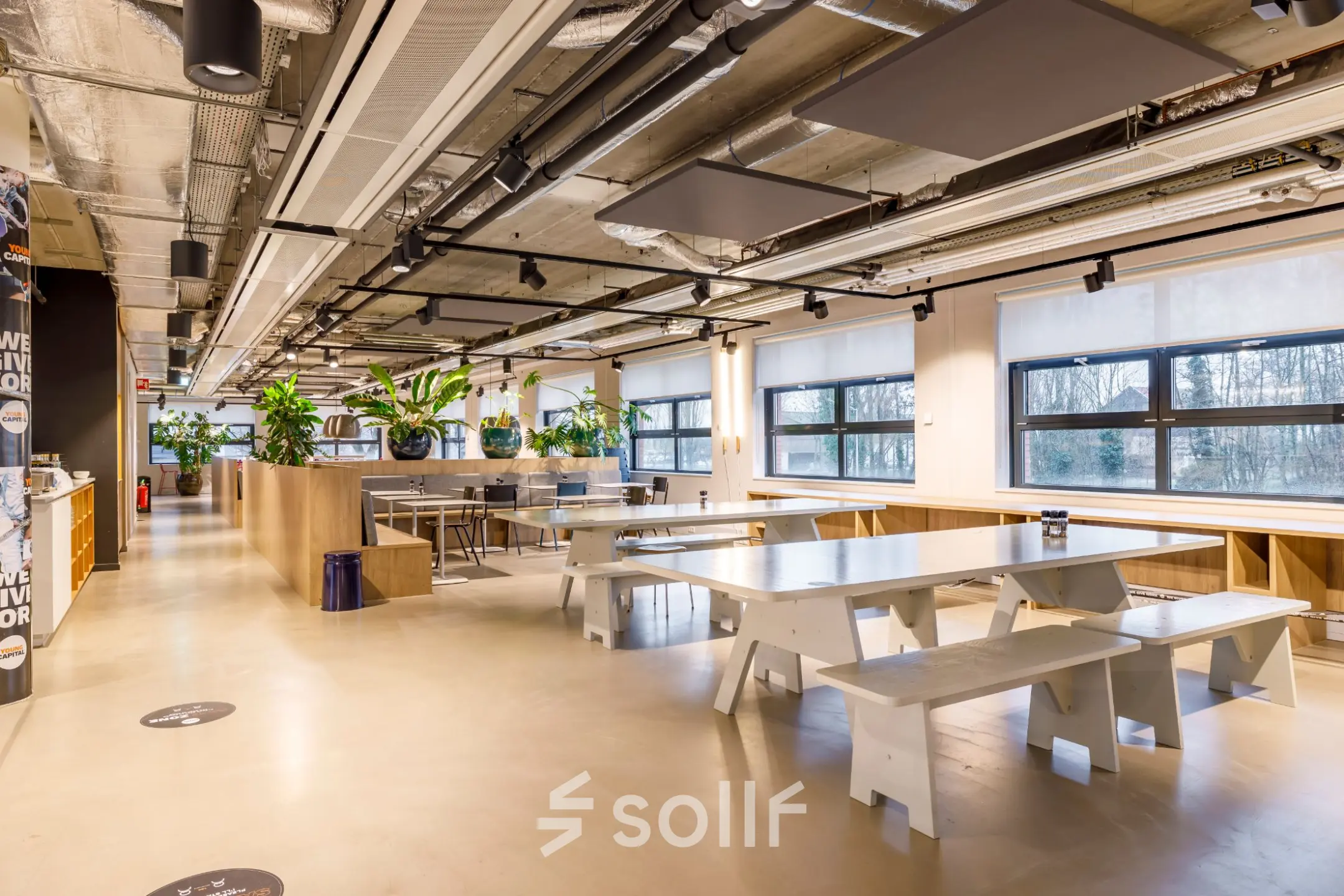 Spacious and modern office interior at Siriusdreef 16, Hoofddorp, featuring furnished workspaces with tables, benches, and greenery. Ideal office space rental opportunity.