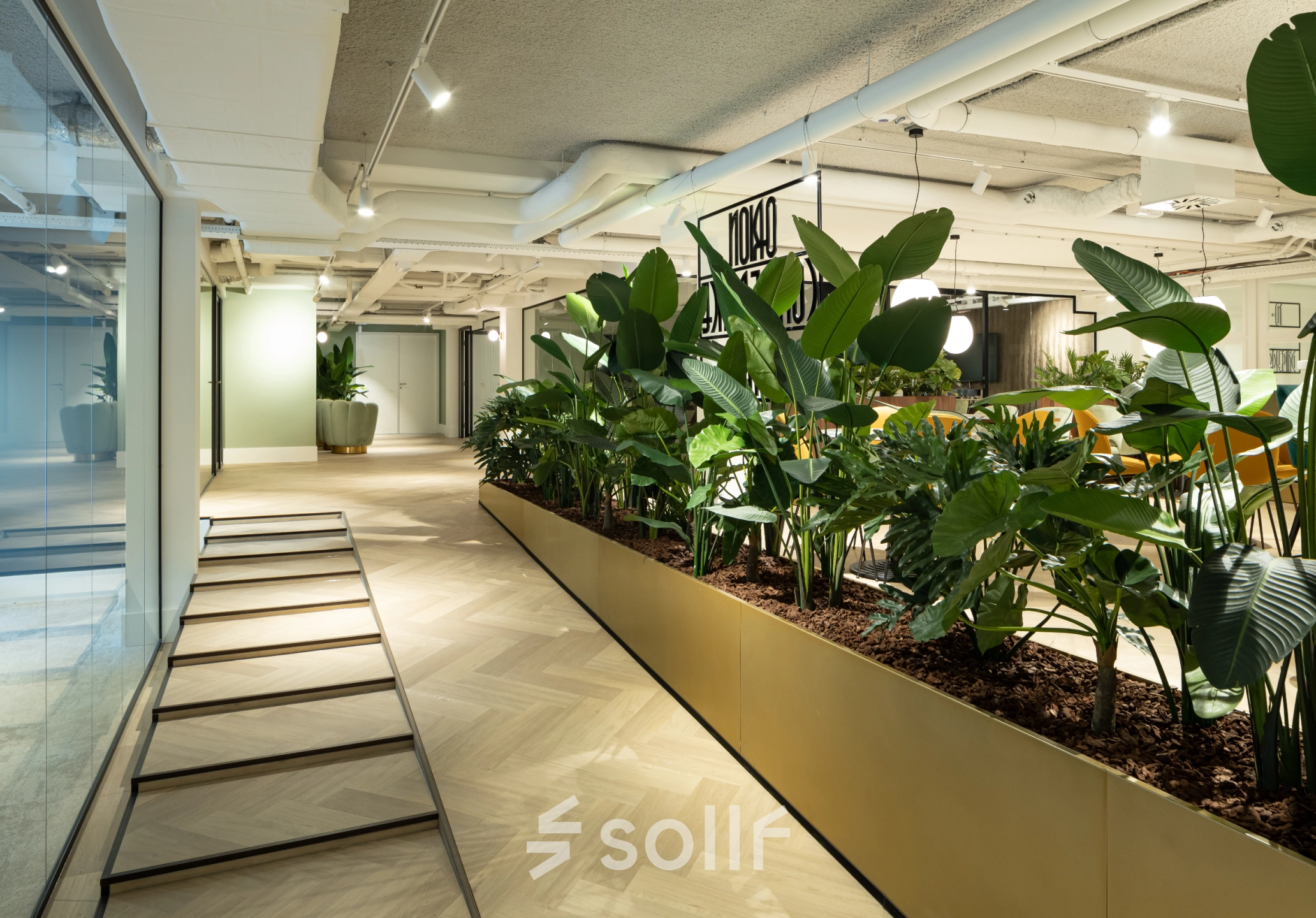 Spacious interior of an office at Siriusdreef 60, Hoofddorp, featuring lush indoor plants along a polished corridor, perfect for office space rental. Bright, modern design with ample workspace potential.
