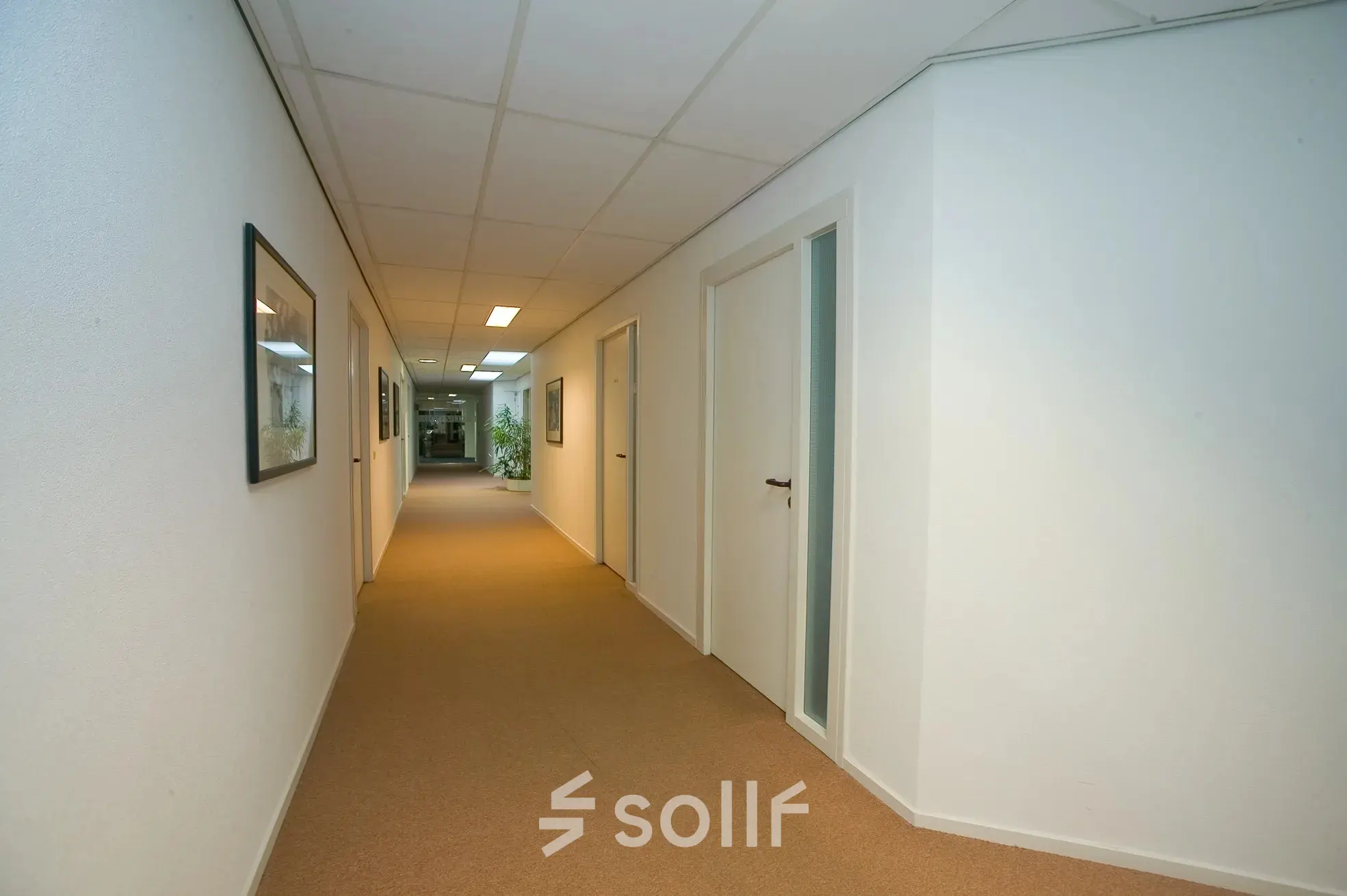 Long, carpeted hallway in an office located at Sandtlaan 36, Katwijk, ideal for office space rental with neutral walls and several doors leading to offices.