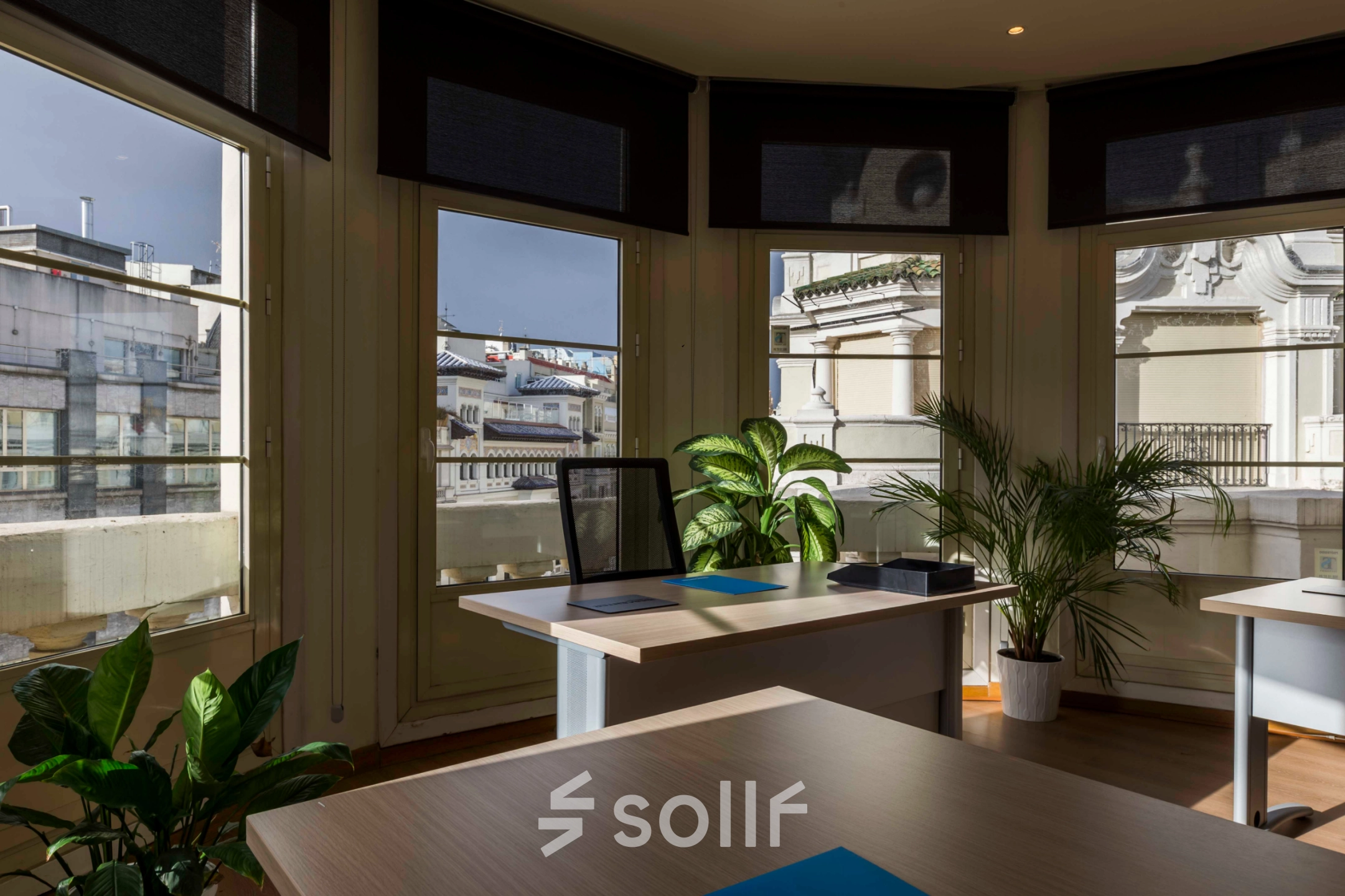 Bright office space rental at Calle Gran Vía 6, Madrid Center, featuring modern desks, lush plants, and large windows offering scenic city views. Ideal office to rent for professionals seeking an inspiring environment.