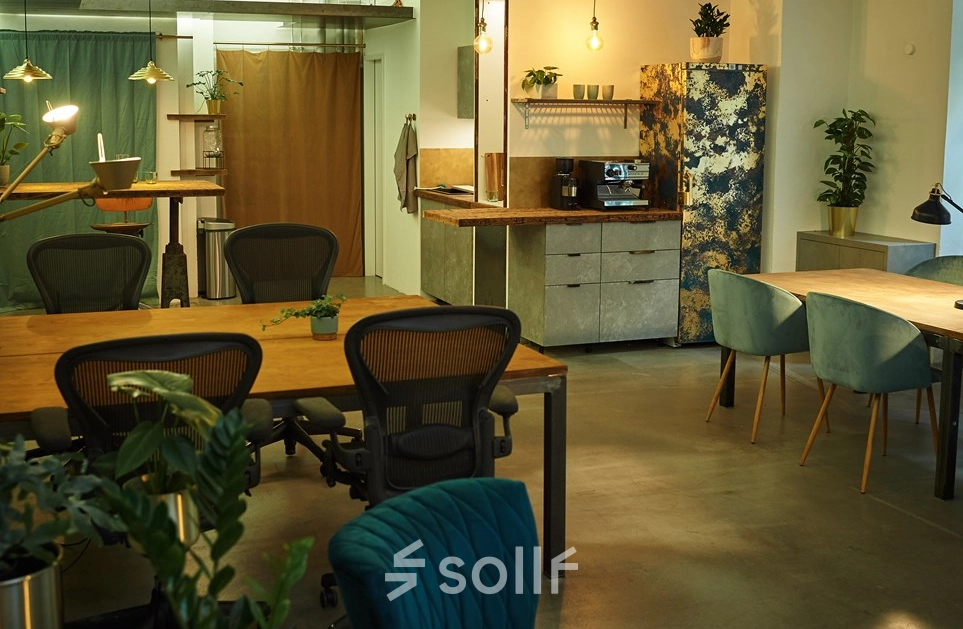 Stylish office at Amalienstraße 71, Munich Maxvorstadt with modern furniture, greenery, and a coffee station, ideal for office space rental.